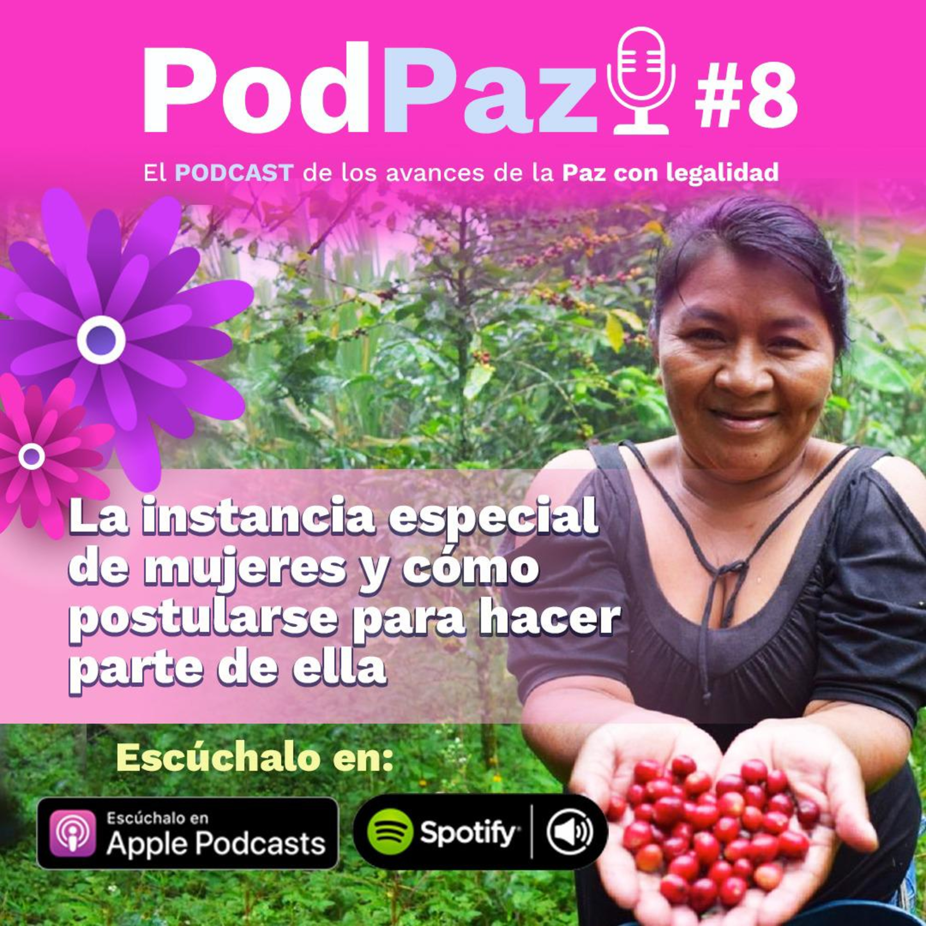 Instancia especial de mujeres y cómo postularse para hacer parte de ella
