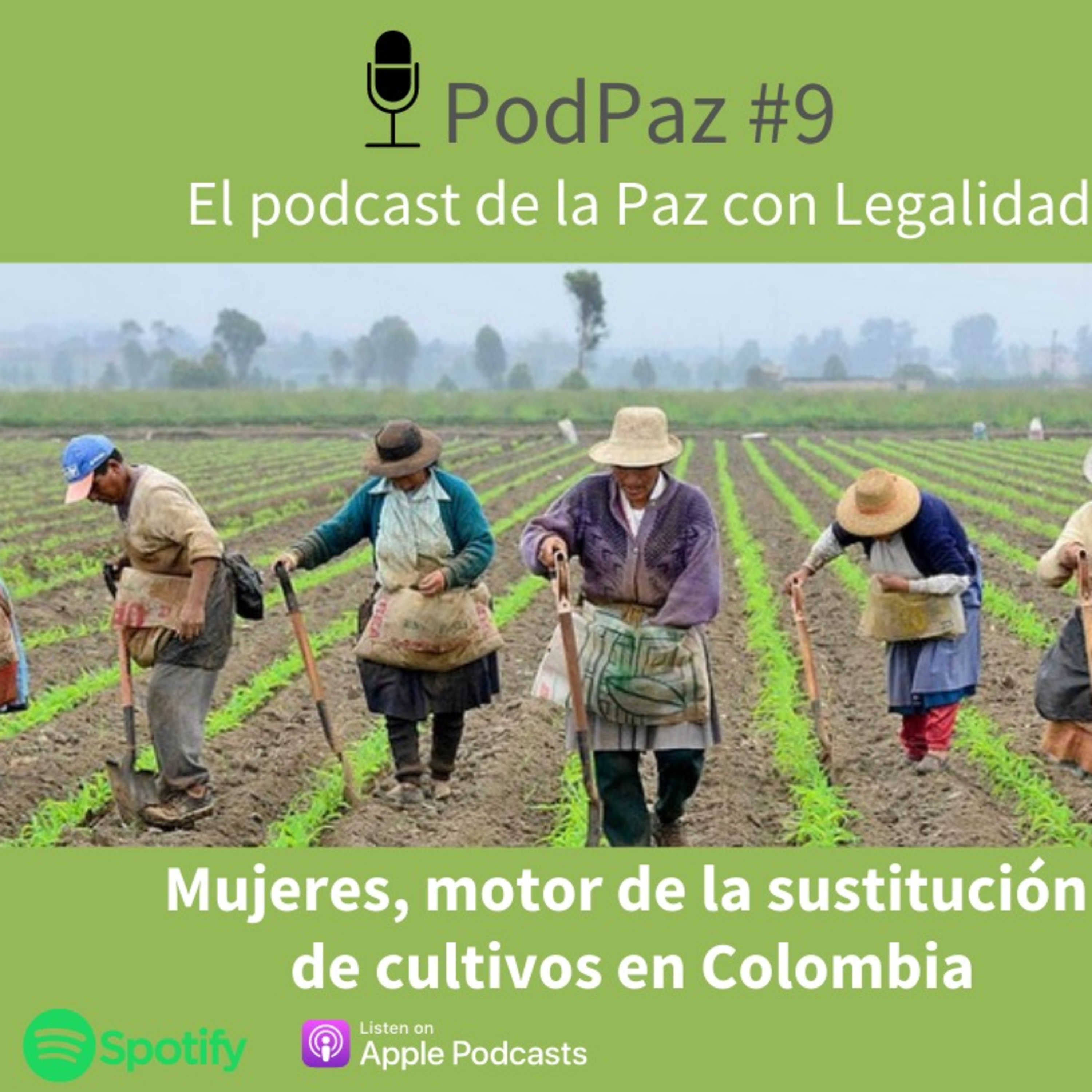 Mujeres , motor de la sustitución de cultivos en Colombia