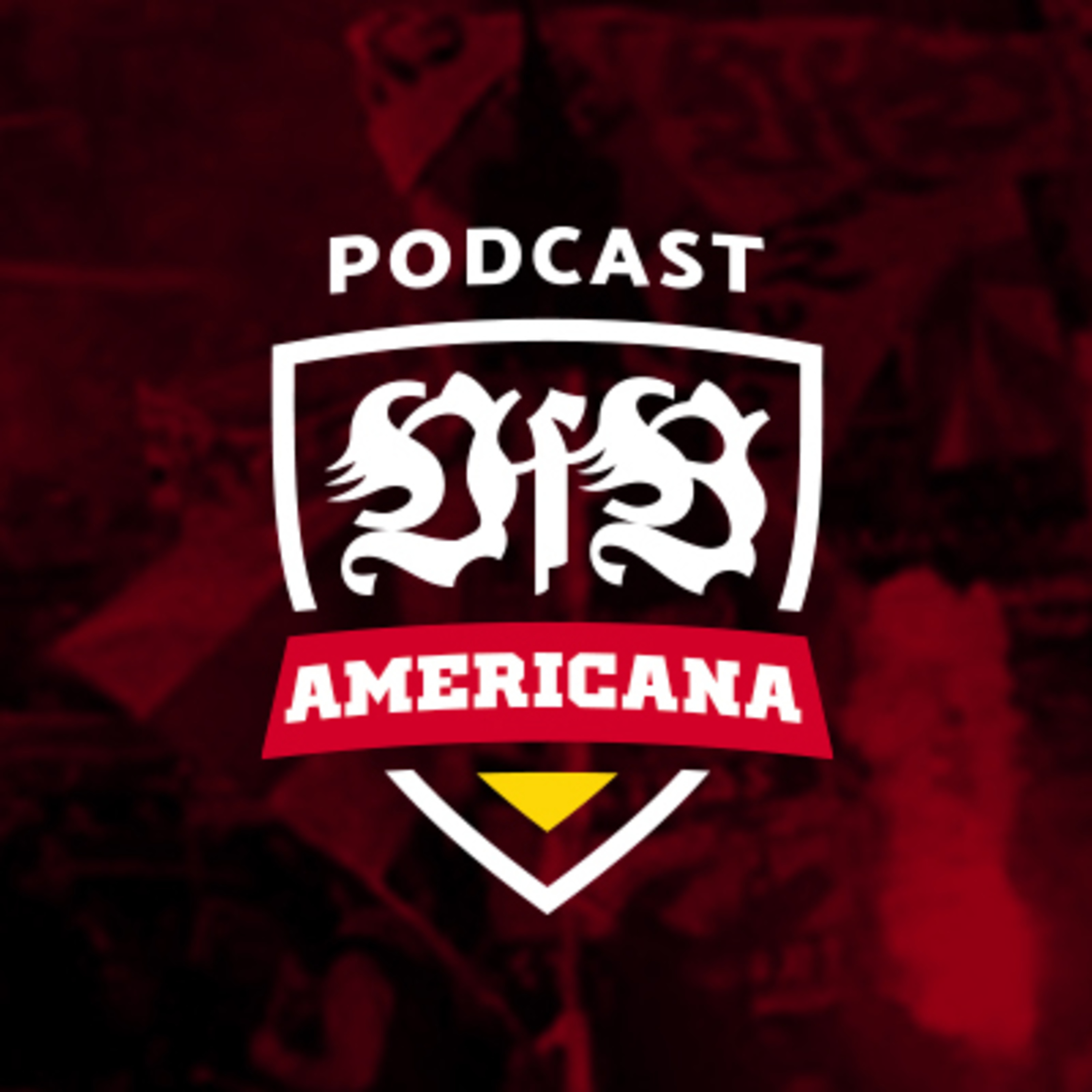 VfB Stuttgart Americana