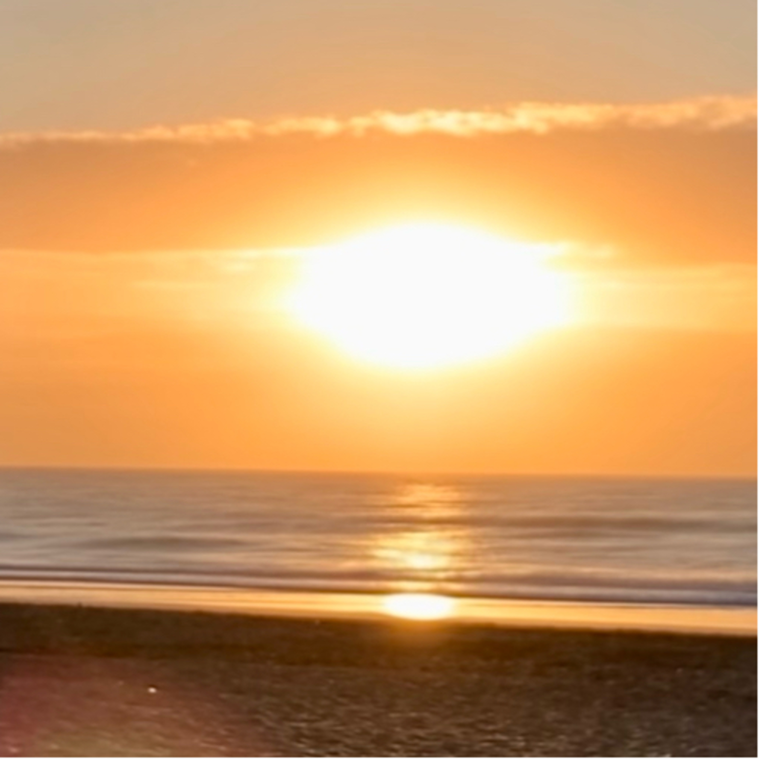 Portada de Íntegra por Sole Chielli