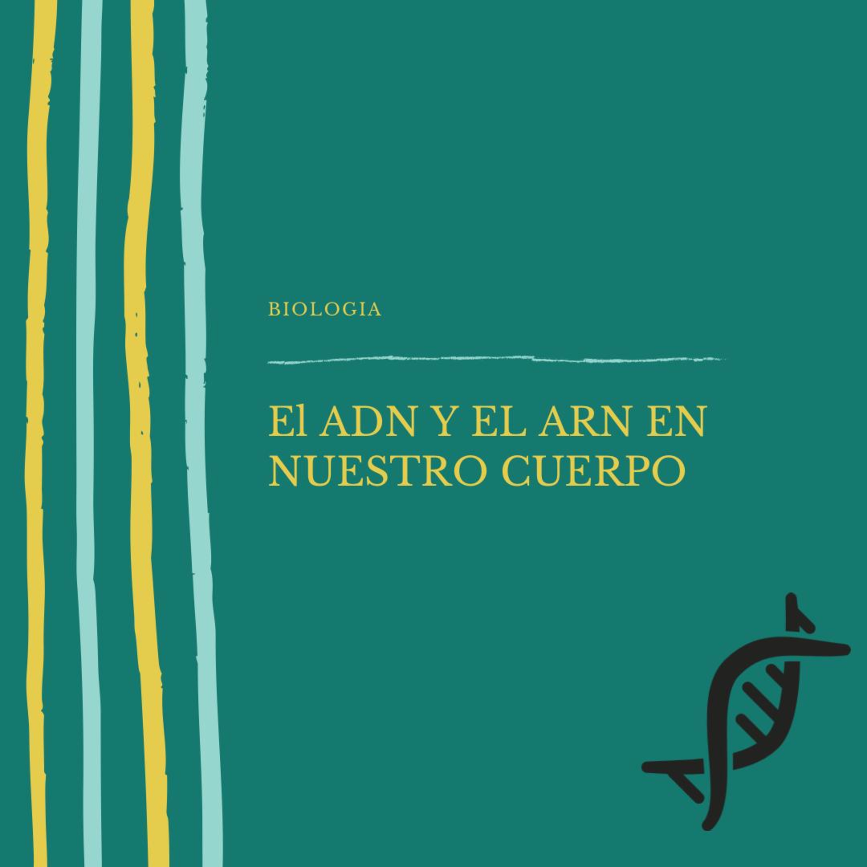 EL ADN Y ARN EN NUESTRO CUERPO