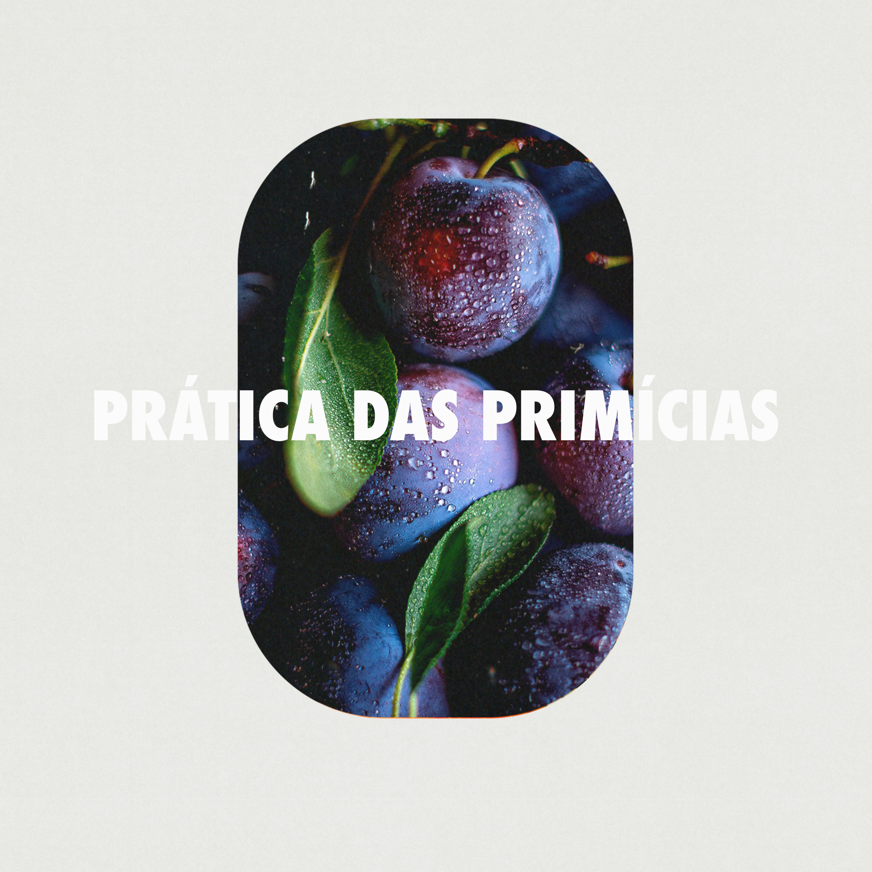 PRÁTICAS DAS PRIMÍCIAS | Pr. Rodrigo Ribeiro episode artwork