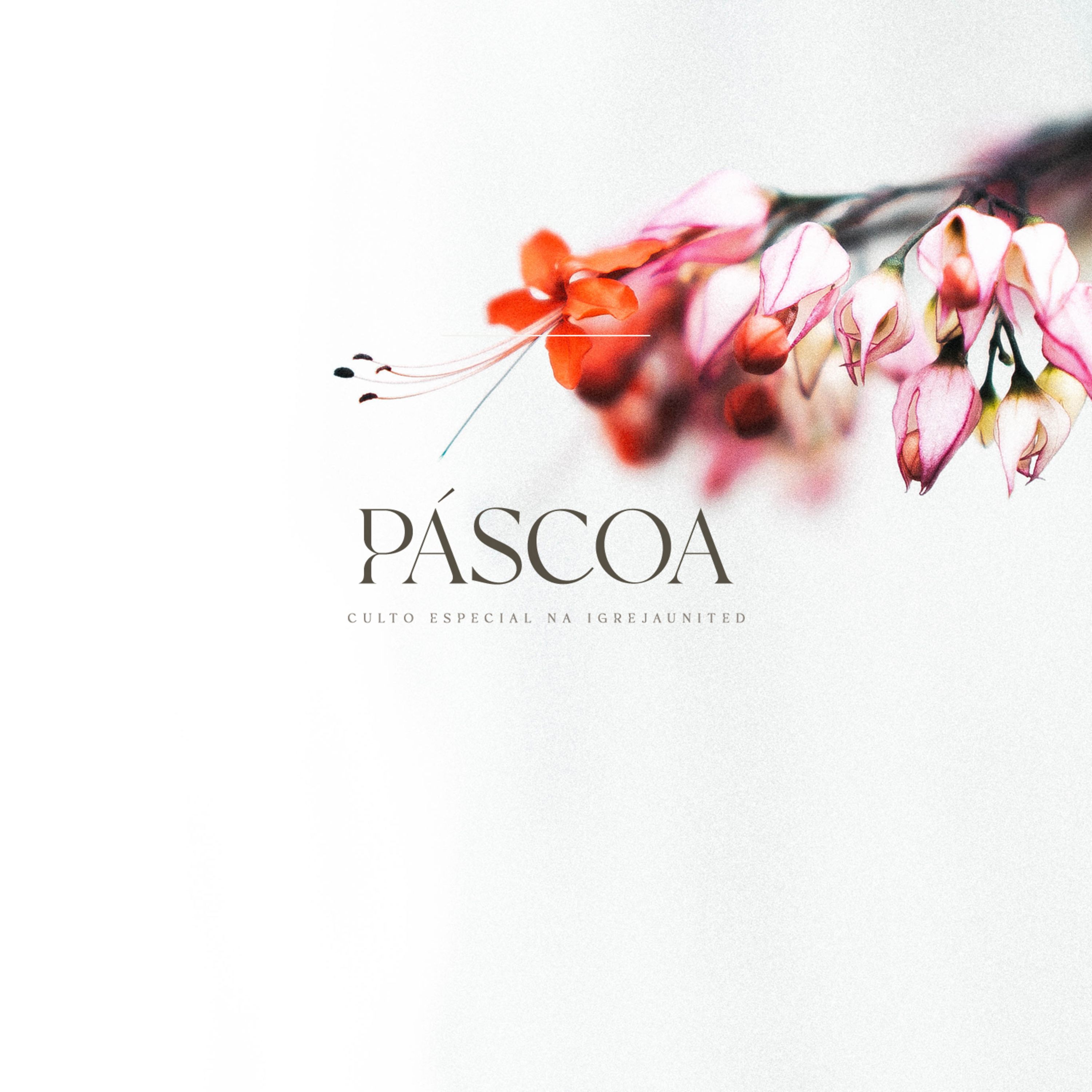 CULTO DE PÁSCOA | Pr Filipe Pimentel  episode artwork