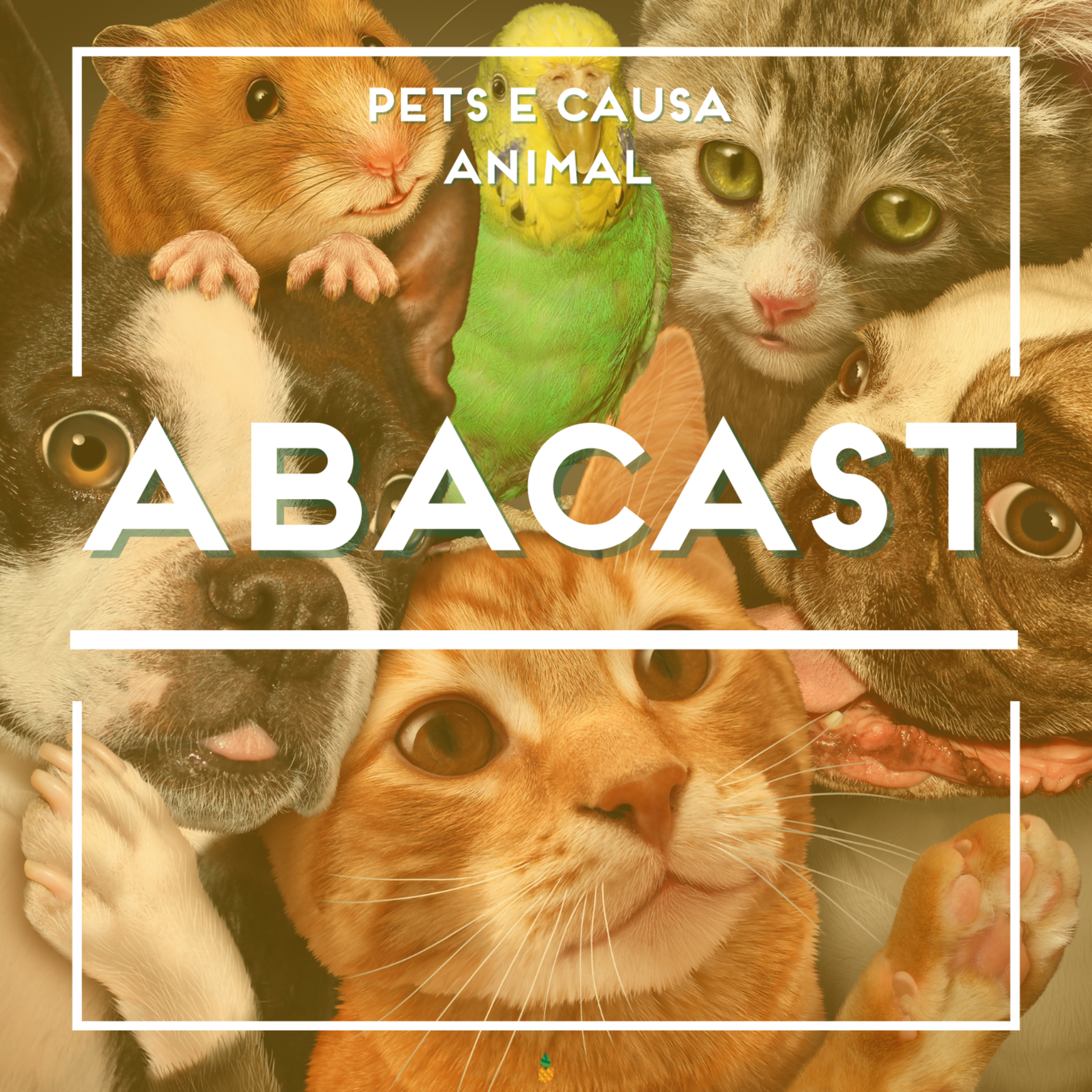 Abacast