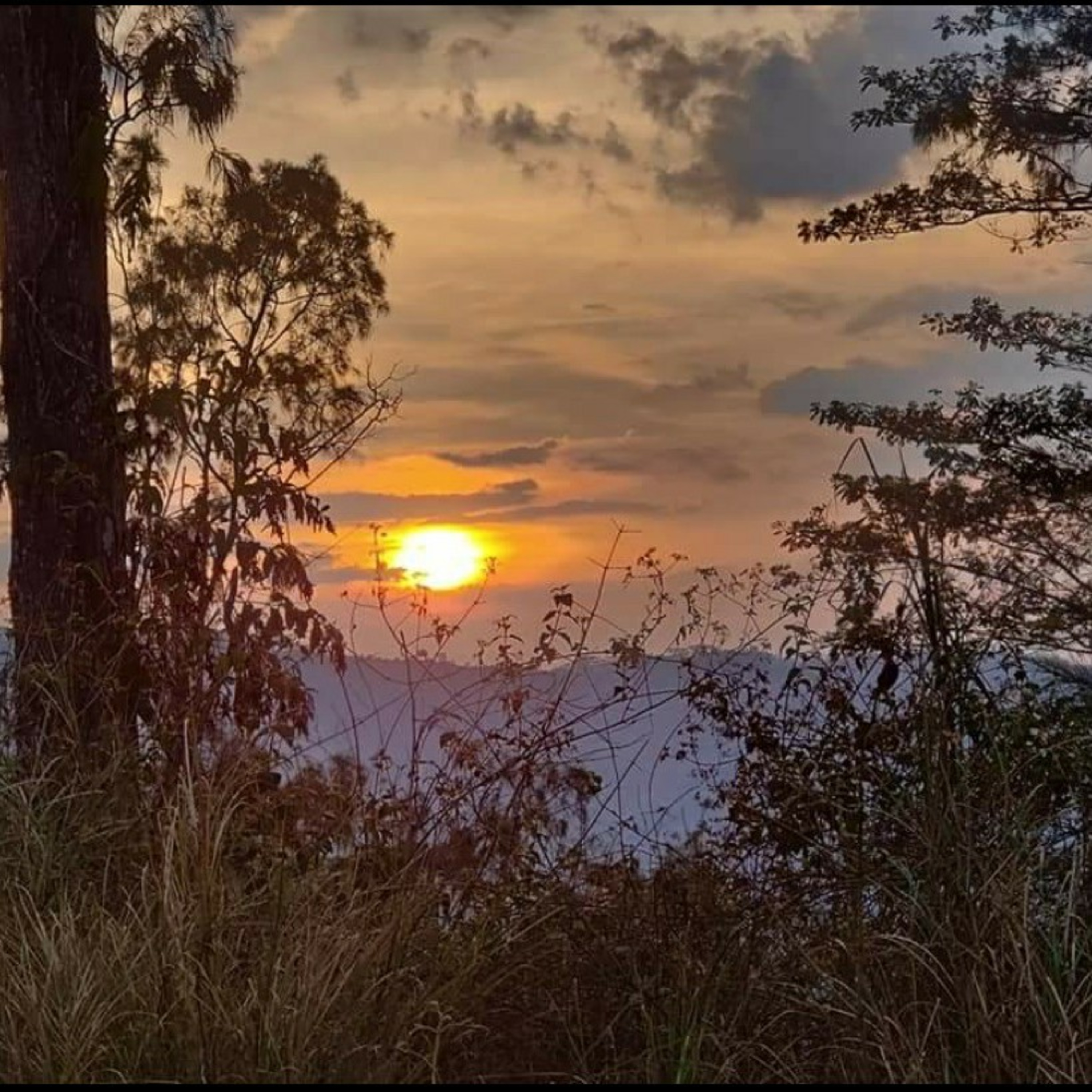 Ep 09 Timor Leste, la tierra donde nace el Sol. episode artwork