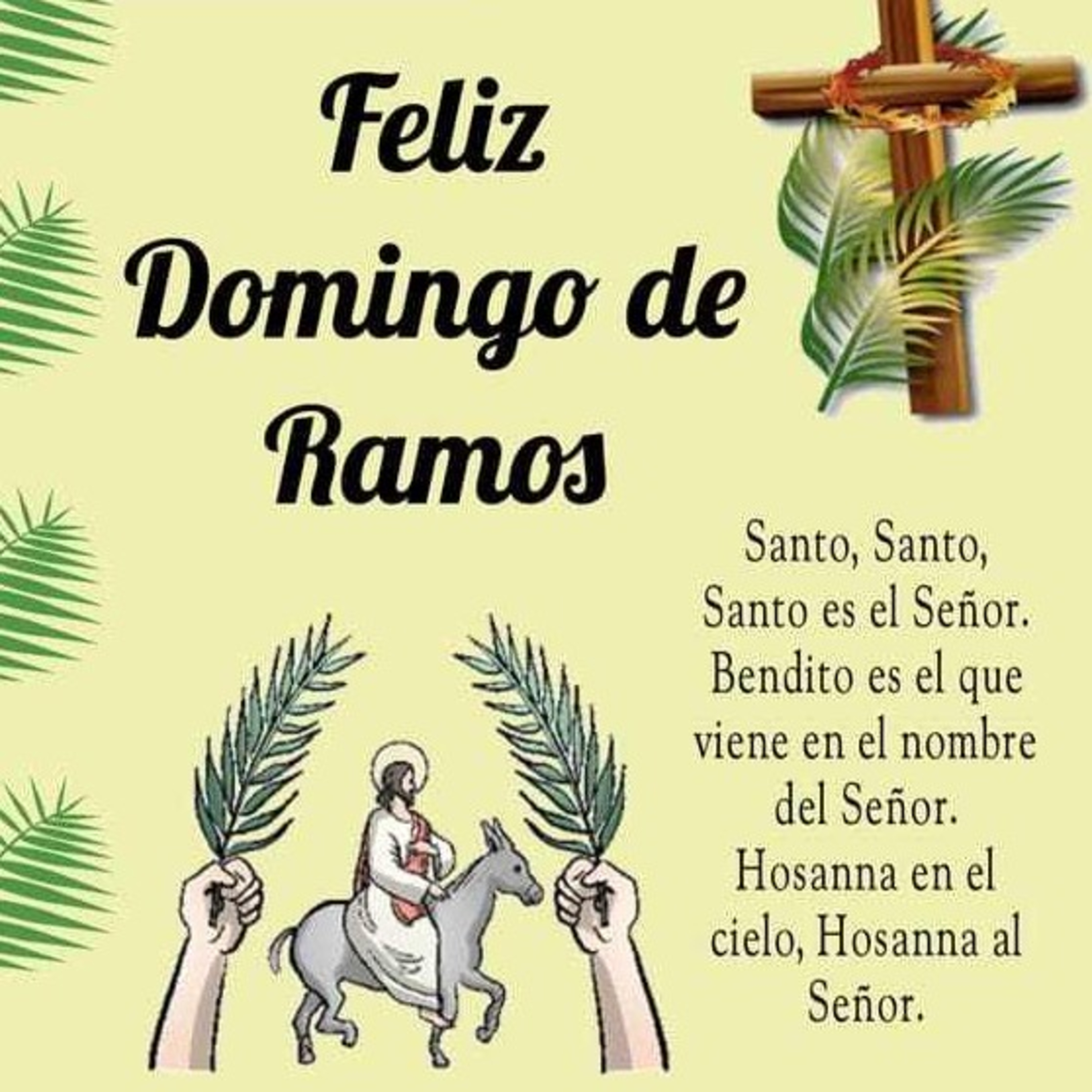 Día 28 de Marzo 😇🙏🏼  episode artwork