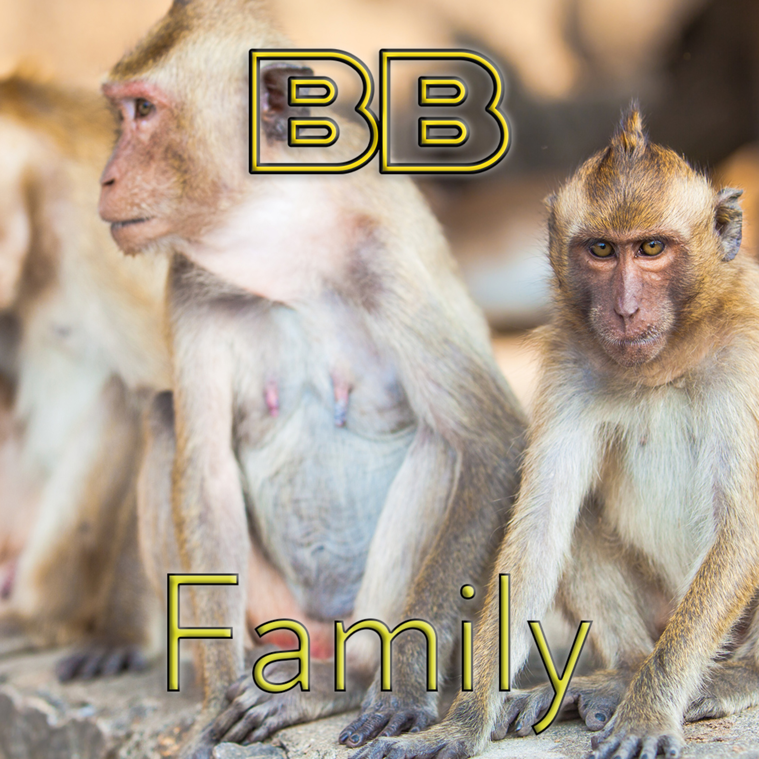 80 - Family episode artwork