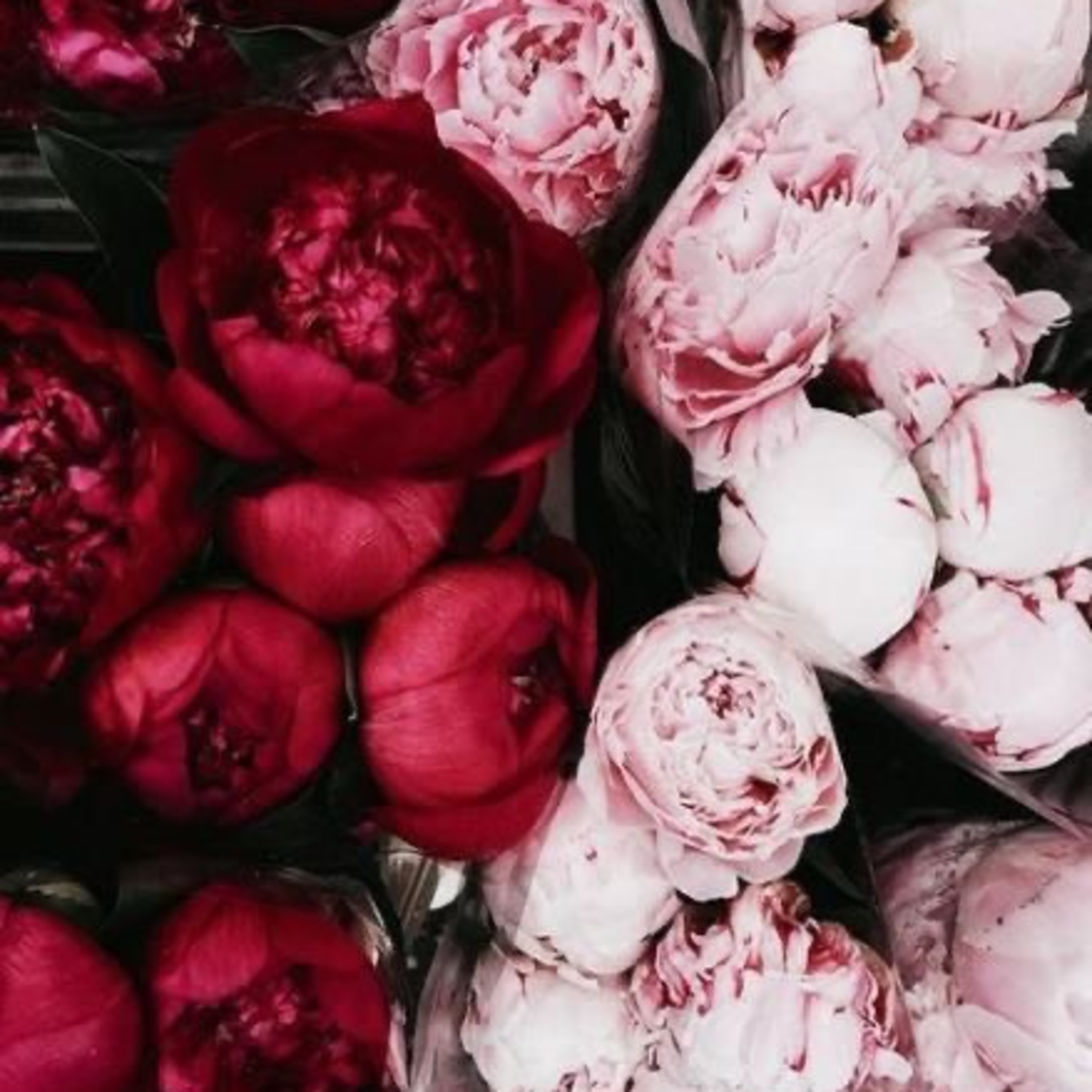 Beyond Patriarchal S*x