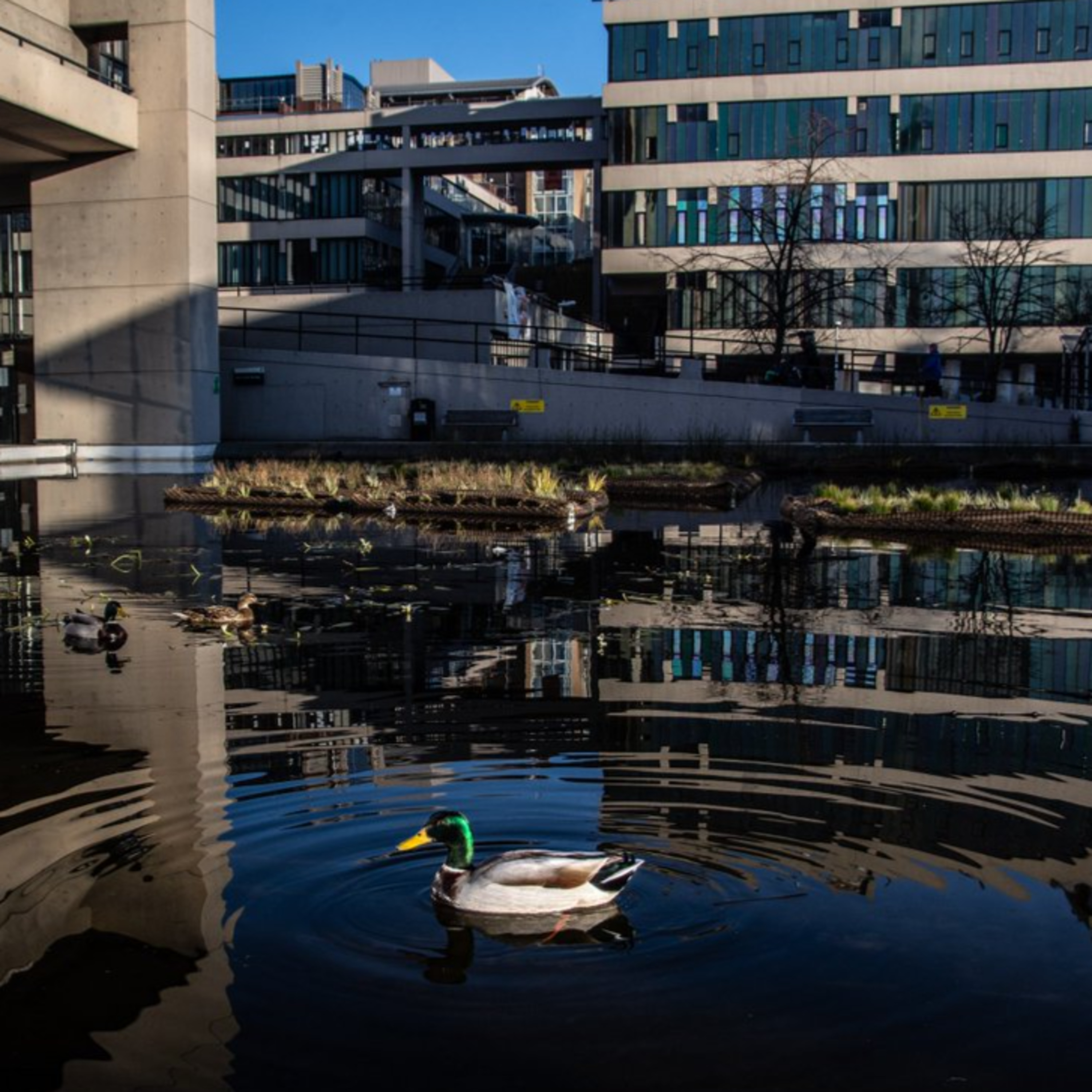 Inclusion & Education – University of Leeds