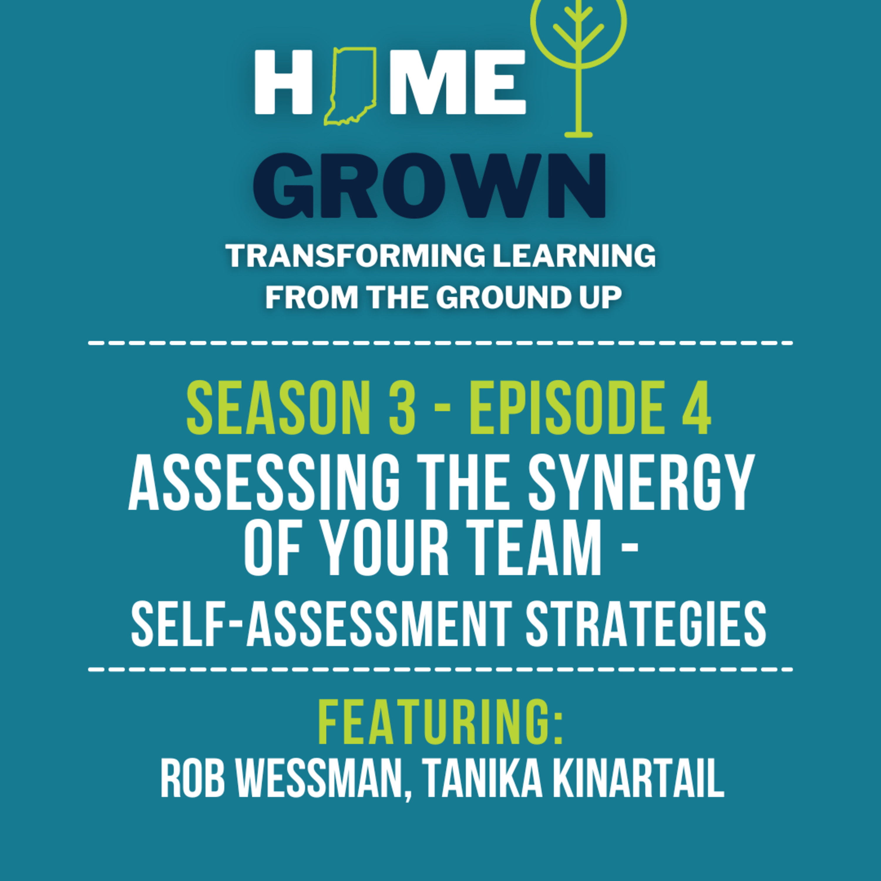 Assessing the Synergy of Your Team - Self-Assessment Strategies for School & District Teams  episode artwork