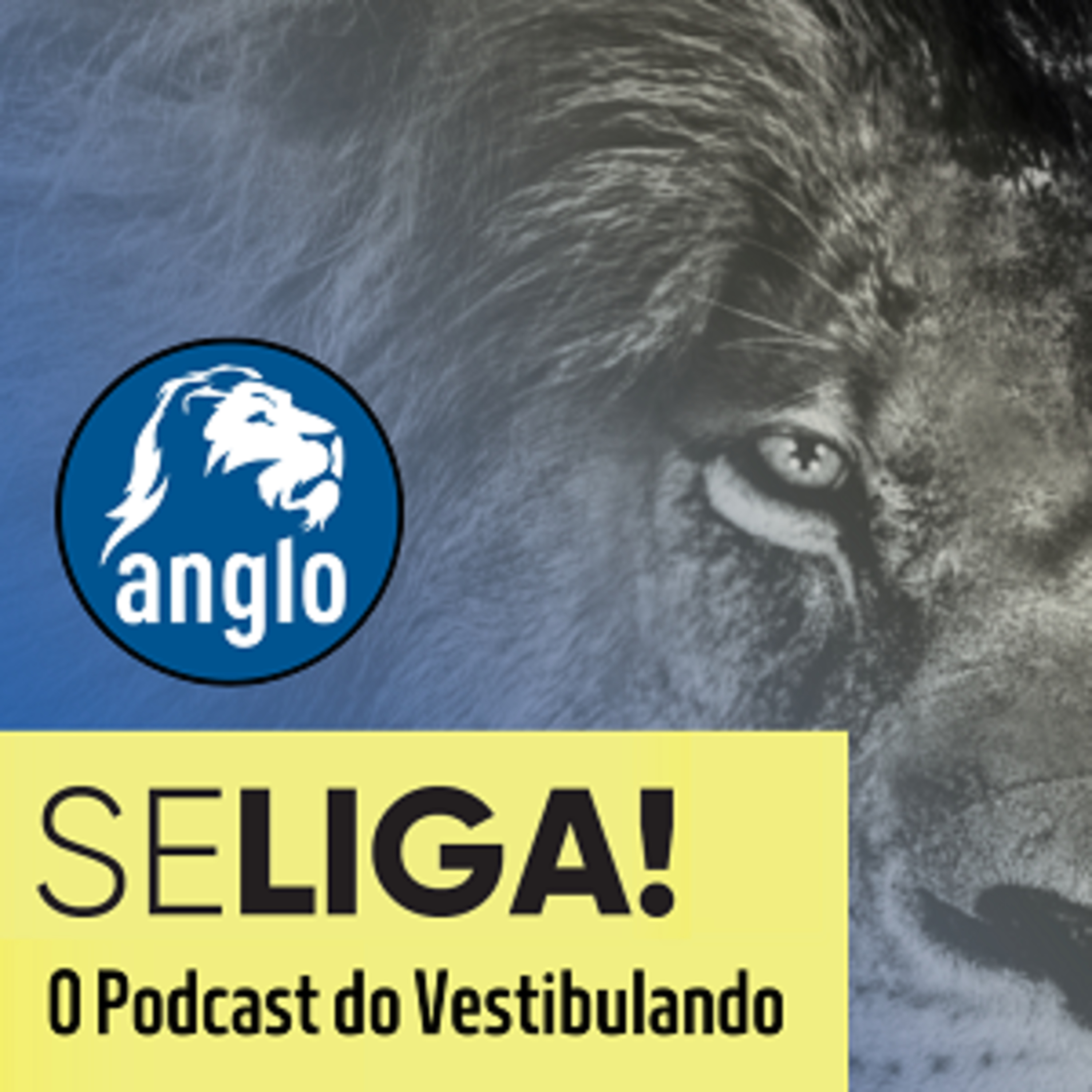 Sistema de Ensino Anglo