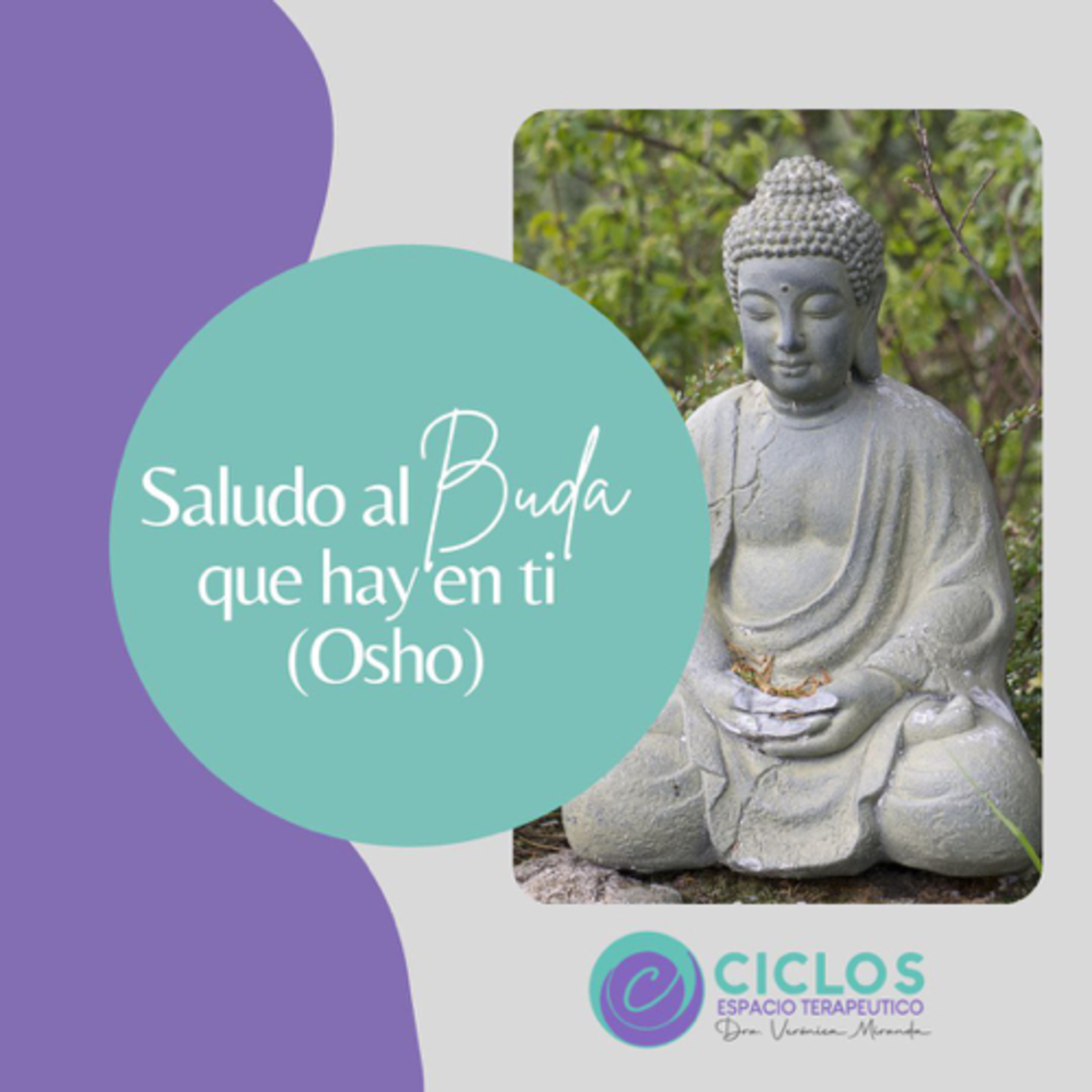 Bienvenid@s a Meditar y reflexionar juntos