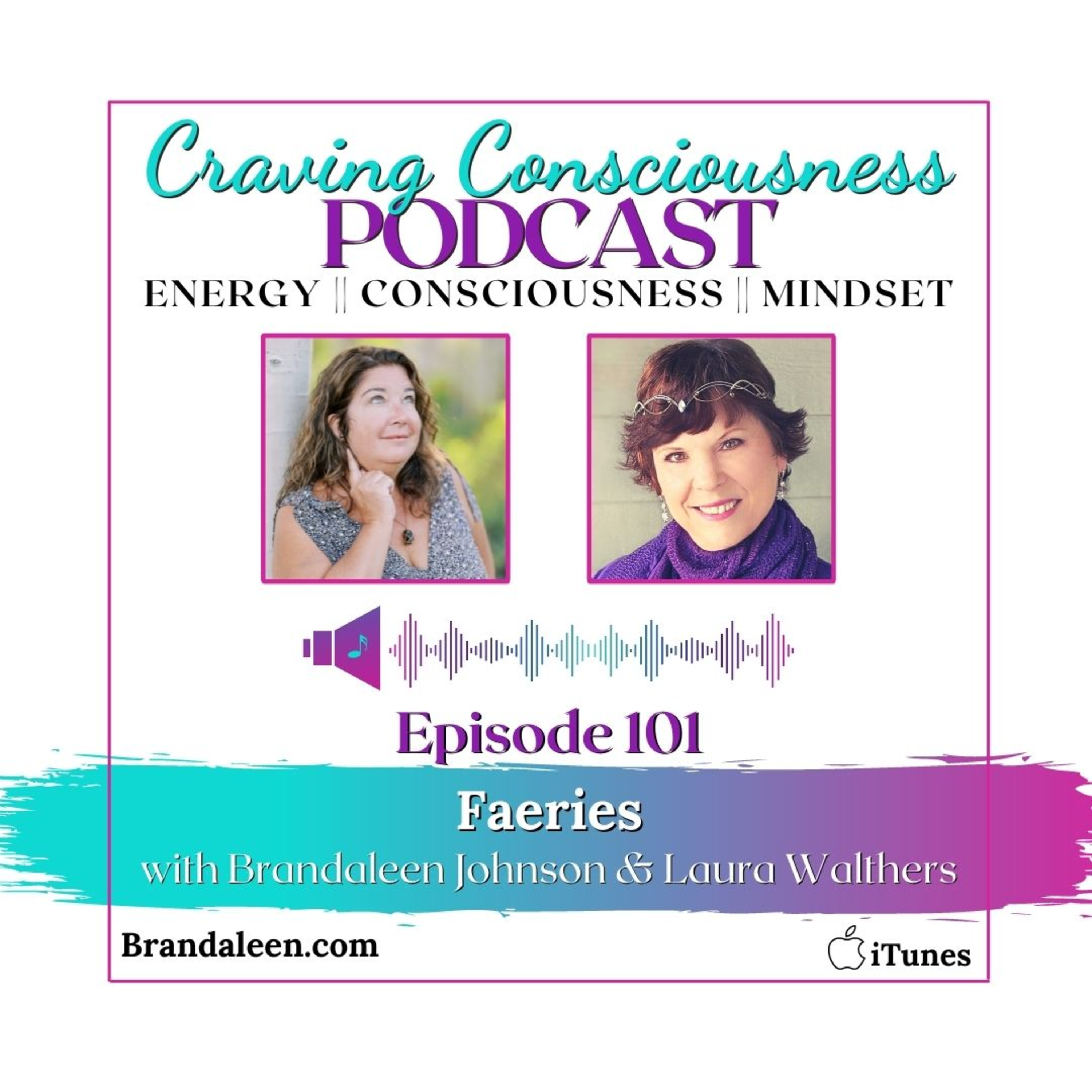 Craving Consciousness Podcast