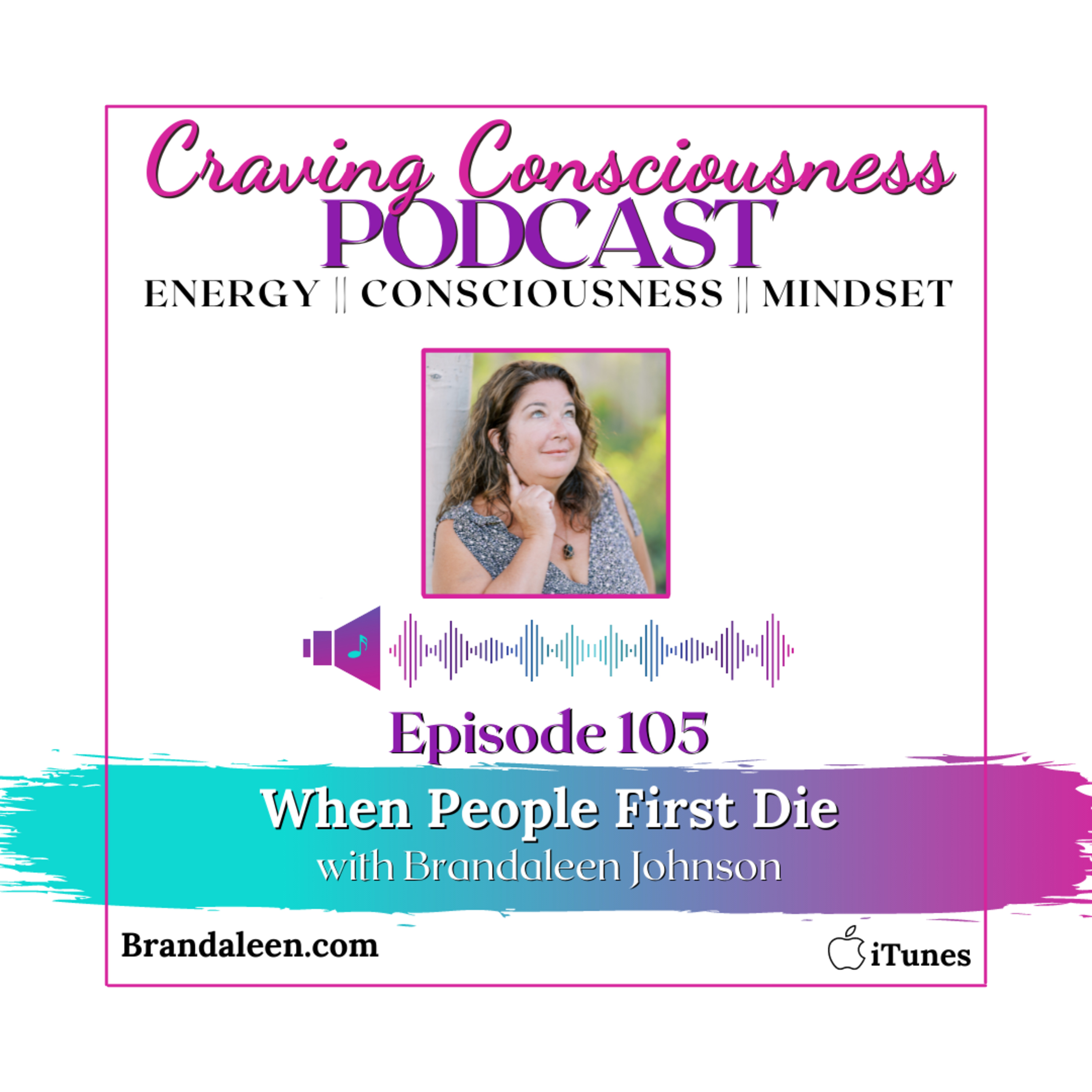 Craving Consciousness Podcast