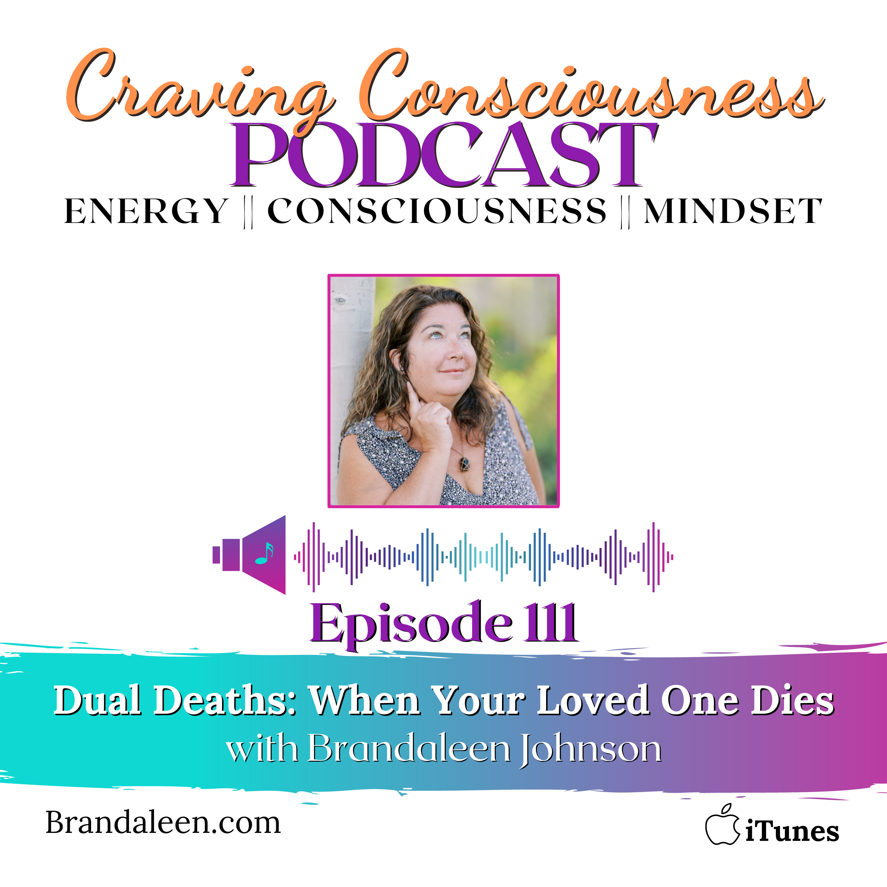 Craving Consciousness Podcast