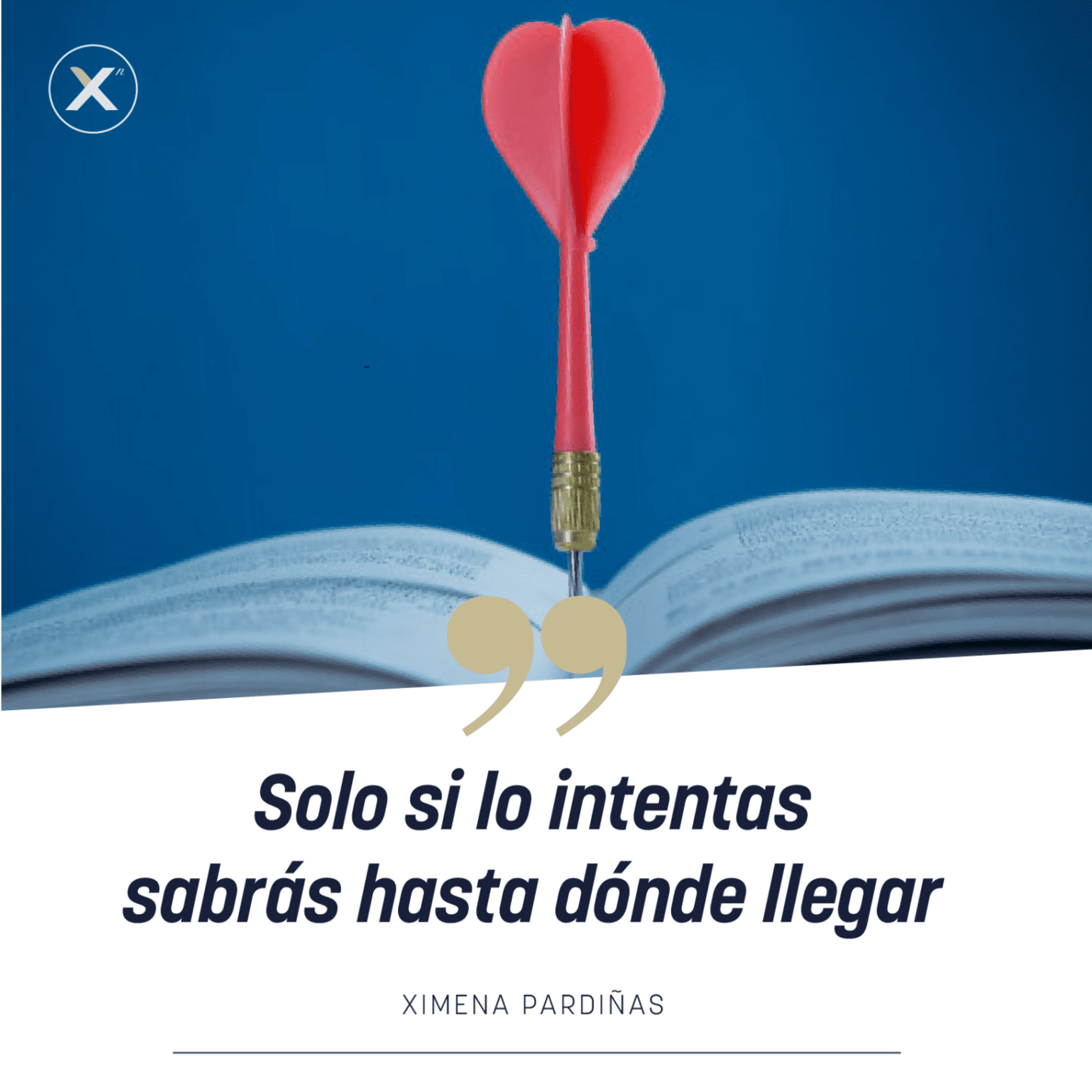 Portada de Xn
