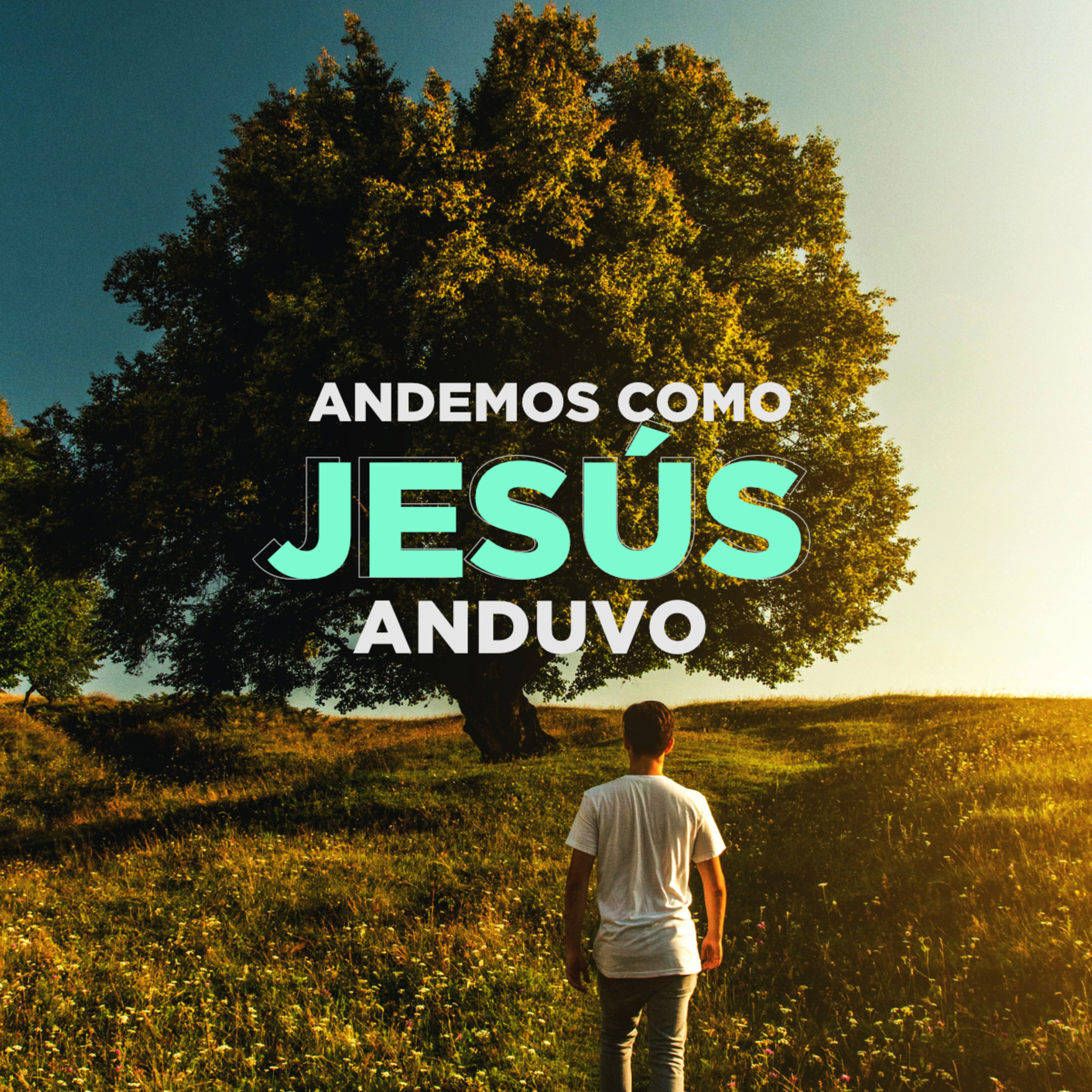 Portada de Pastor Dr. Luis Fernando Solares B.
