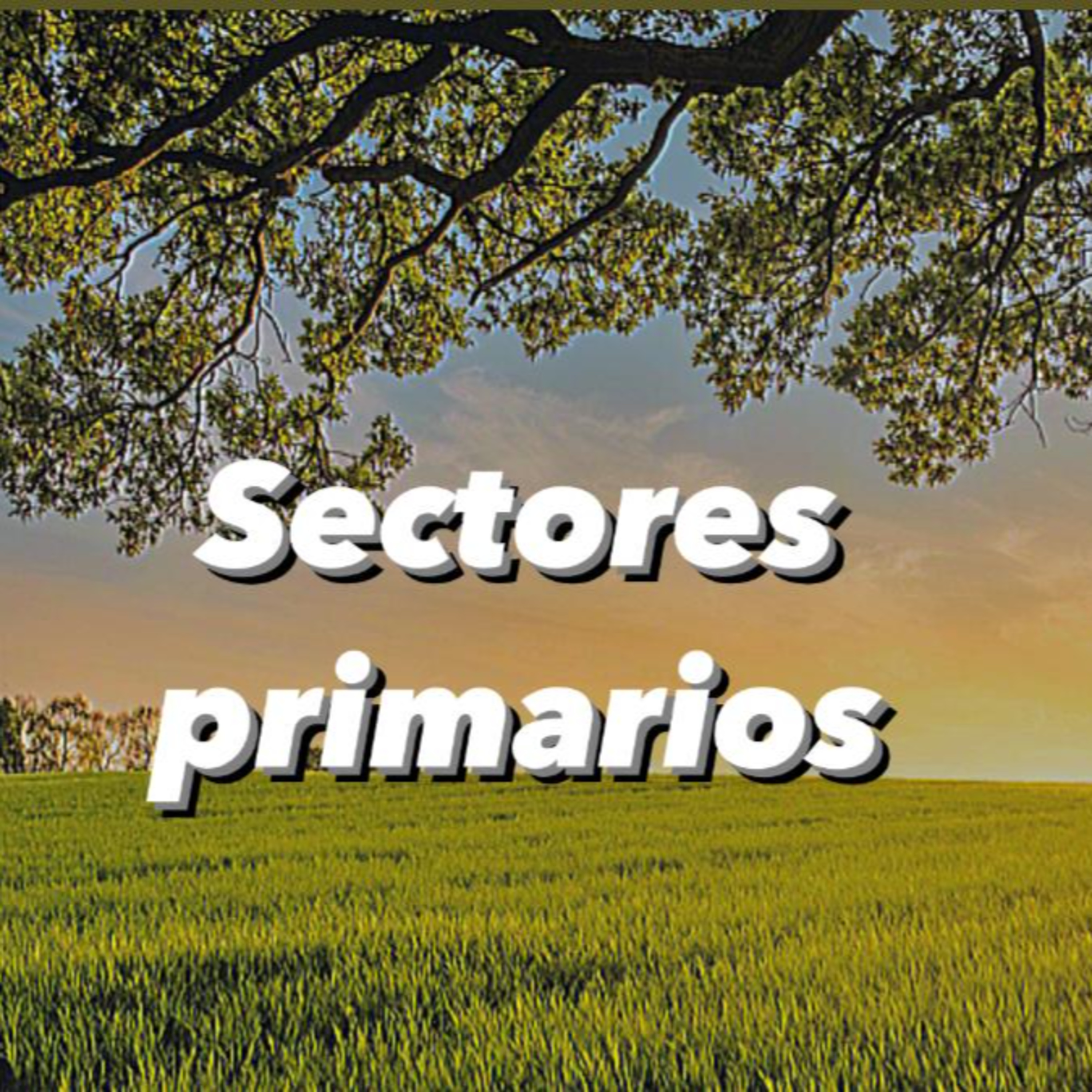 Deberes