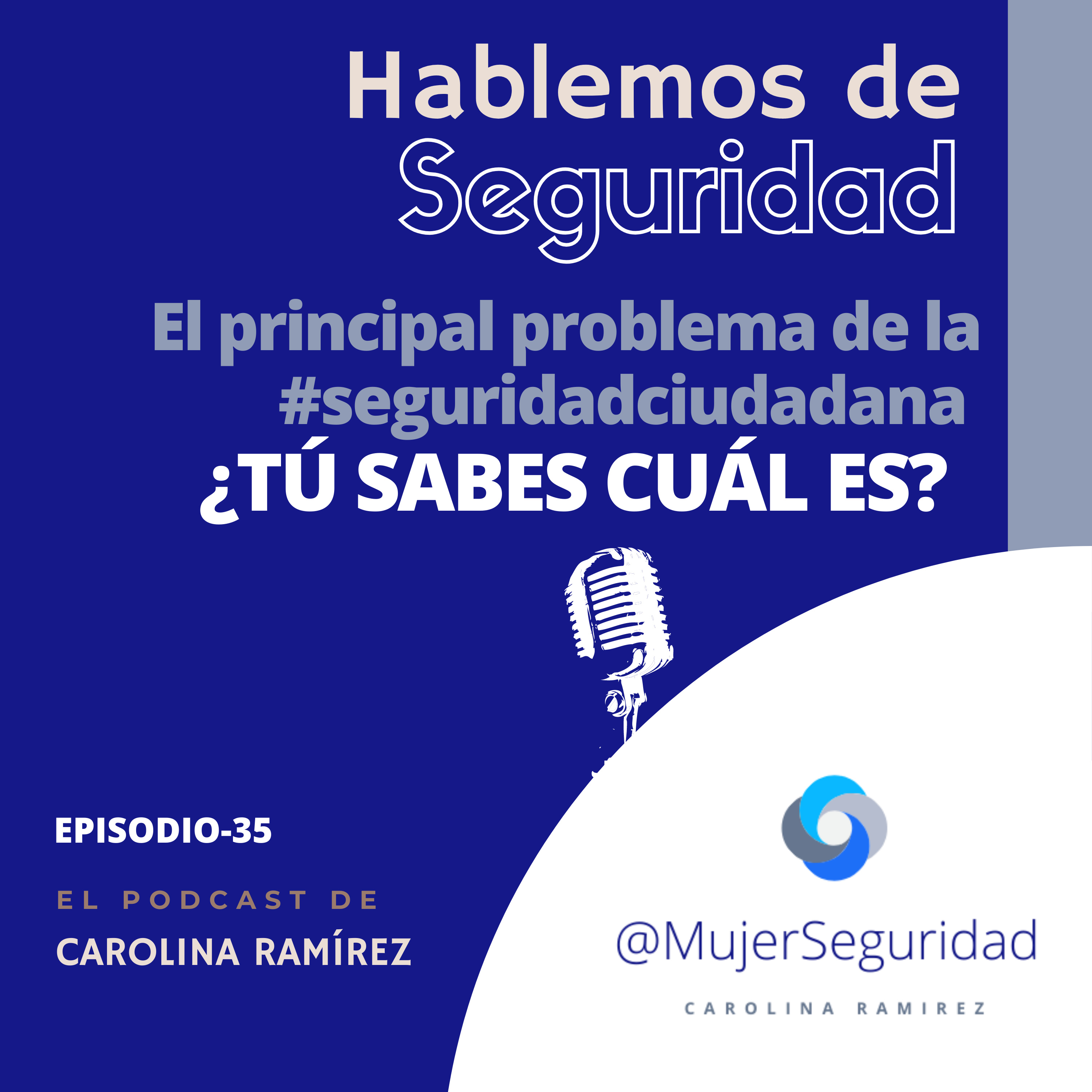 Hablemos de Seguridad