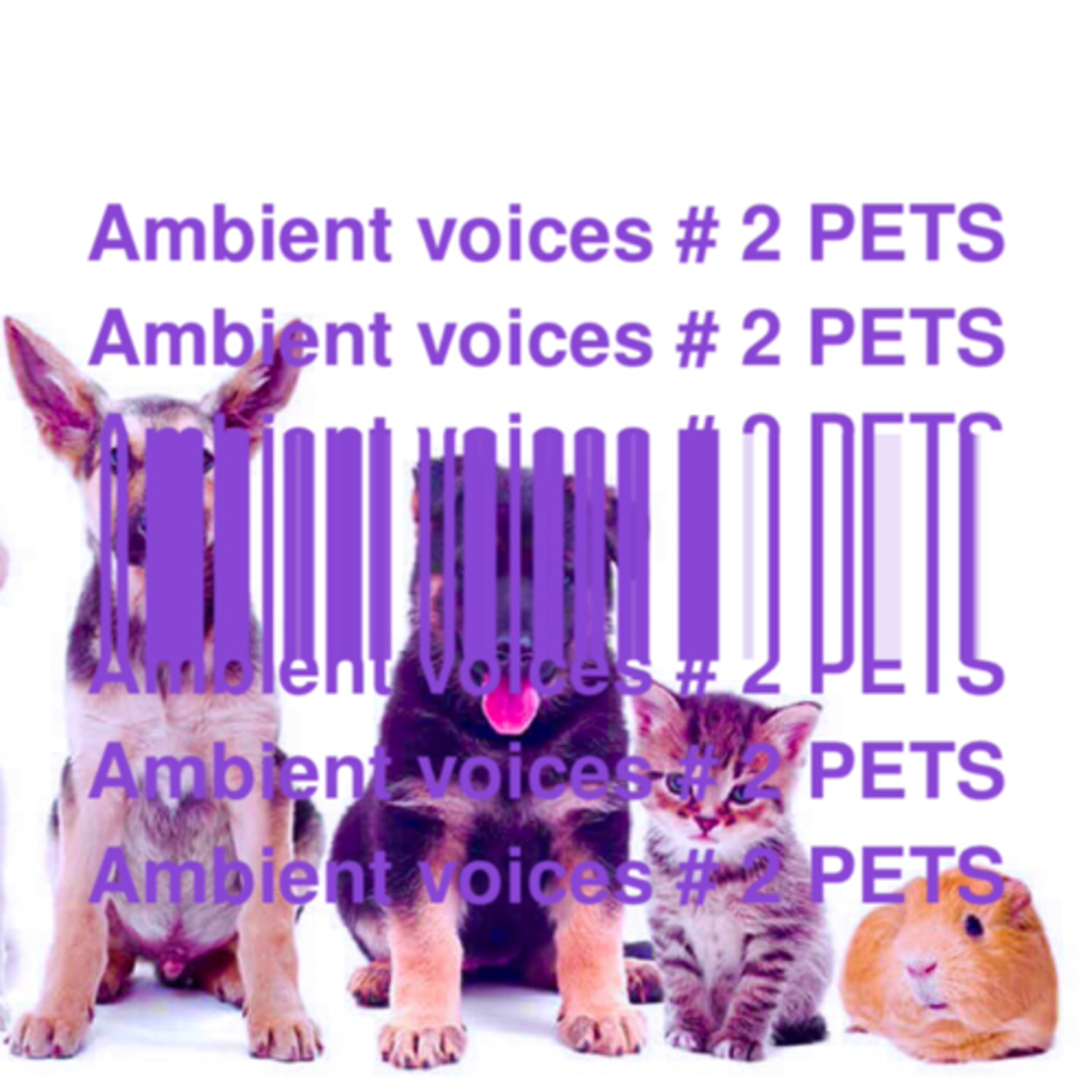 Ambient Voices 2 - PETS by Riggs.