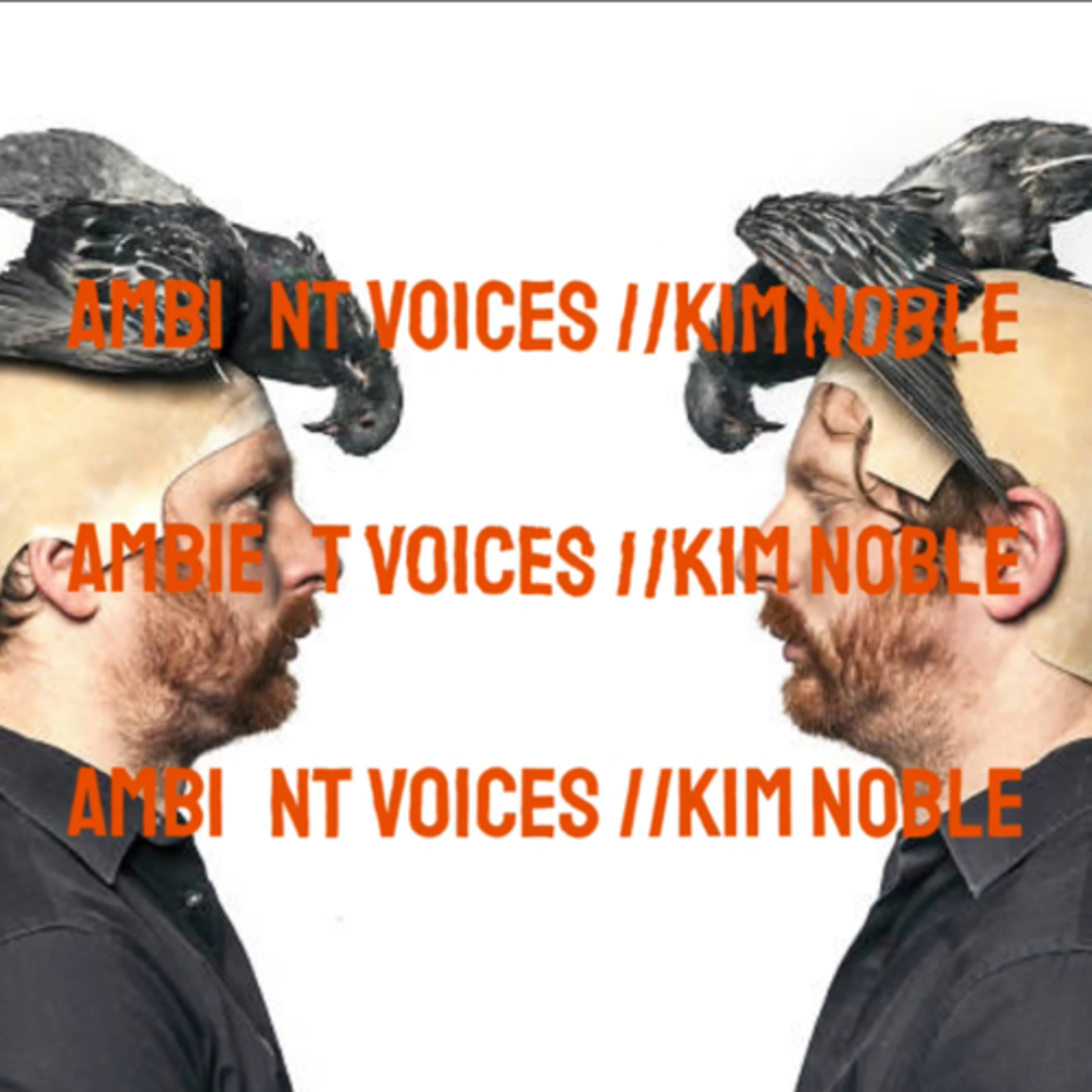 Ambient Voices 11 - Waffles feat Kim Noble.
