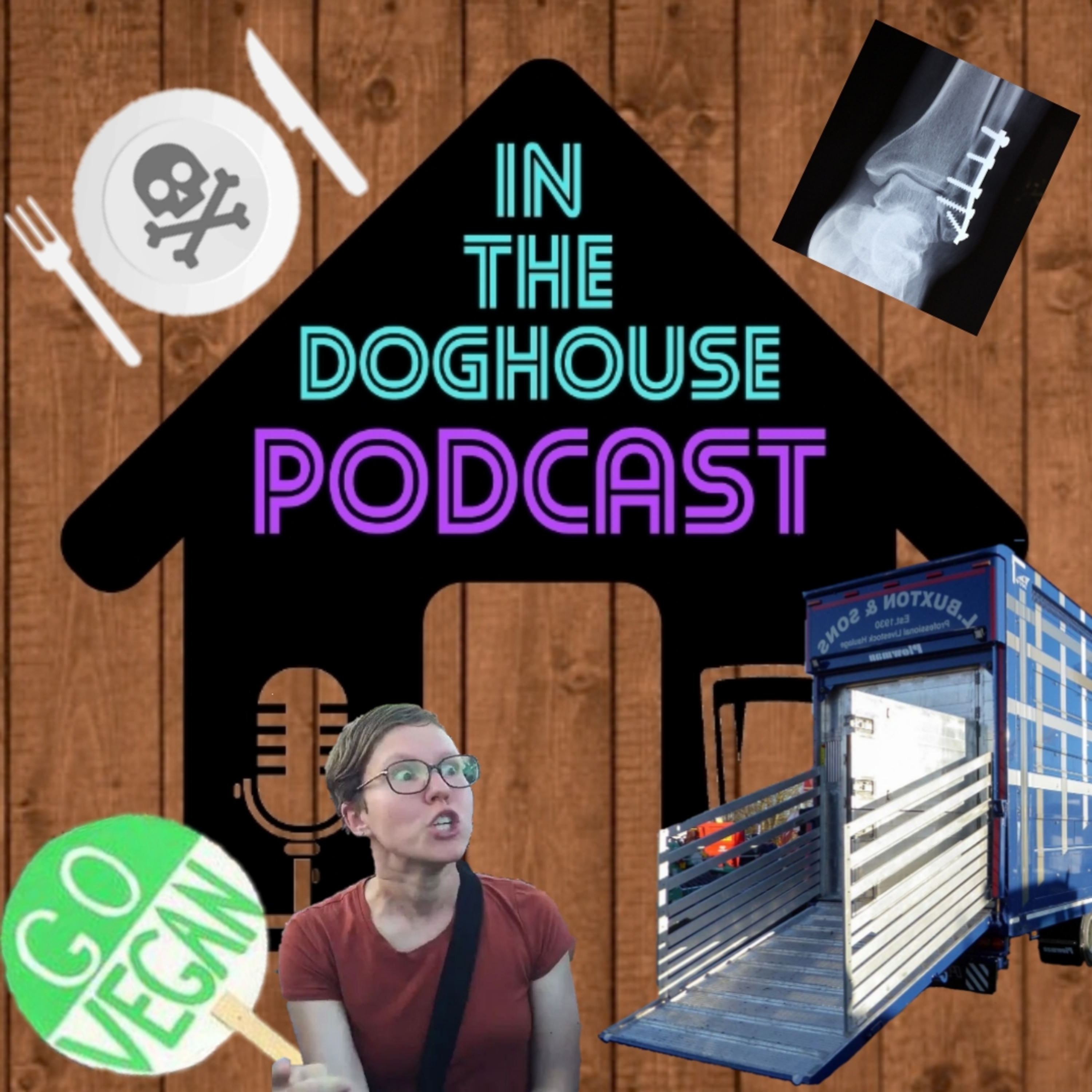 Episode 61 - TRUCK SHOW ANTICS, VEGAN ACTIVISTS AND FOOD POISONING ON THE ROAD! FT ANDY AND BOARDY episode artwork