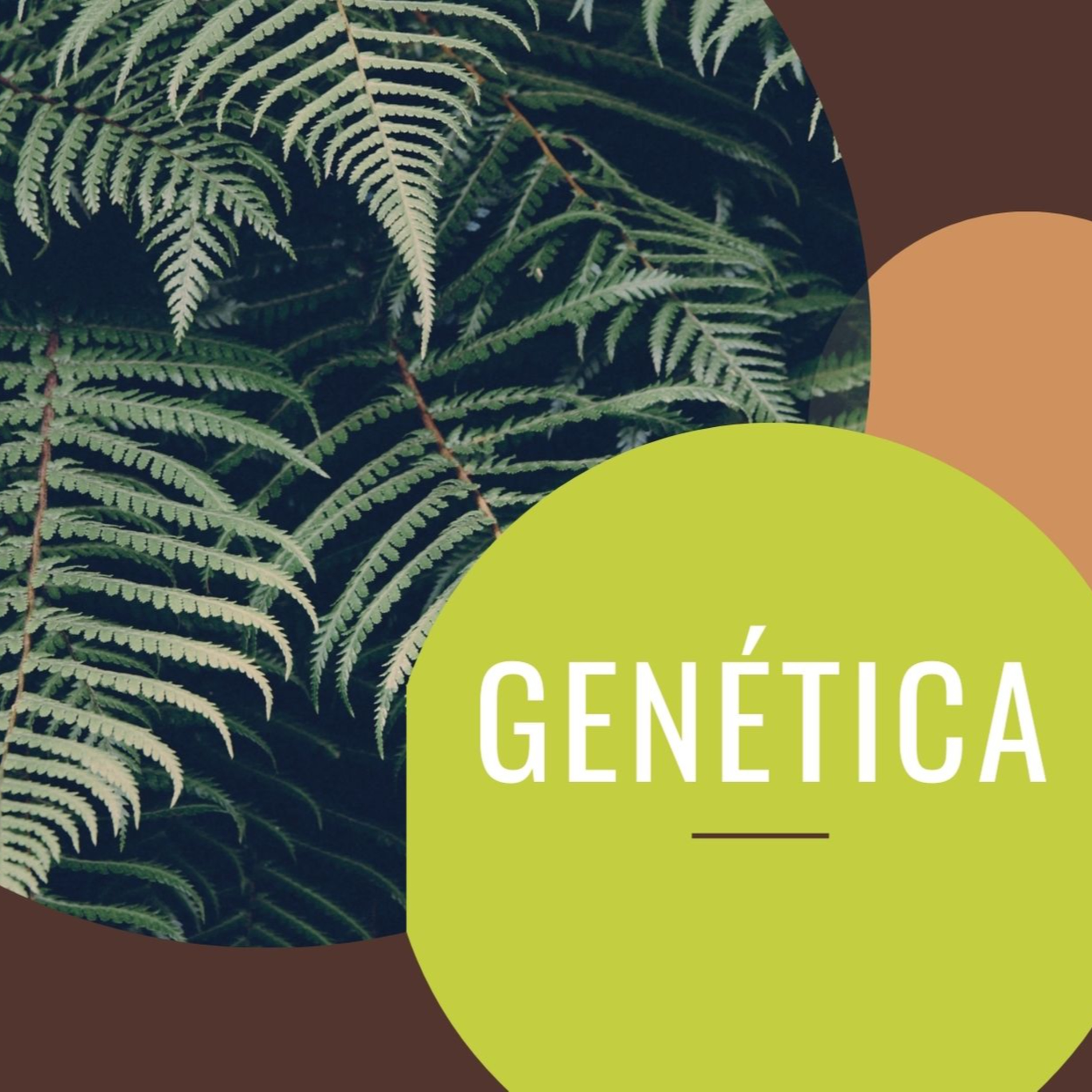 Genética  episode artwork