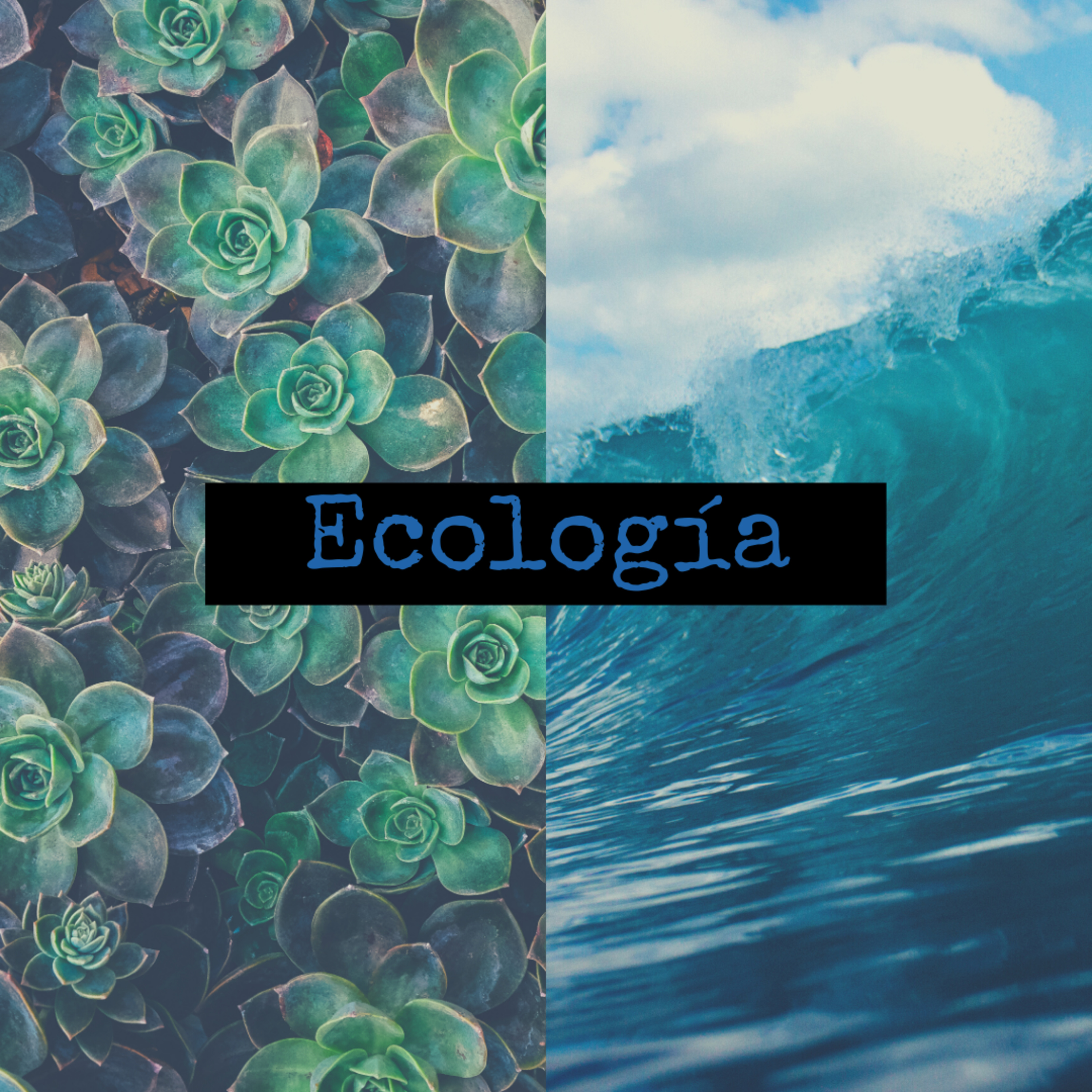 Ecología episode artwork