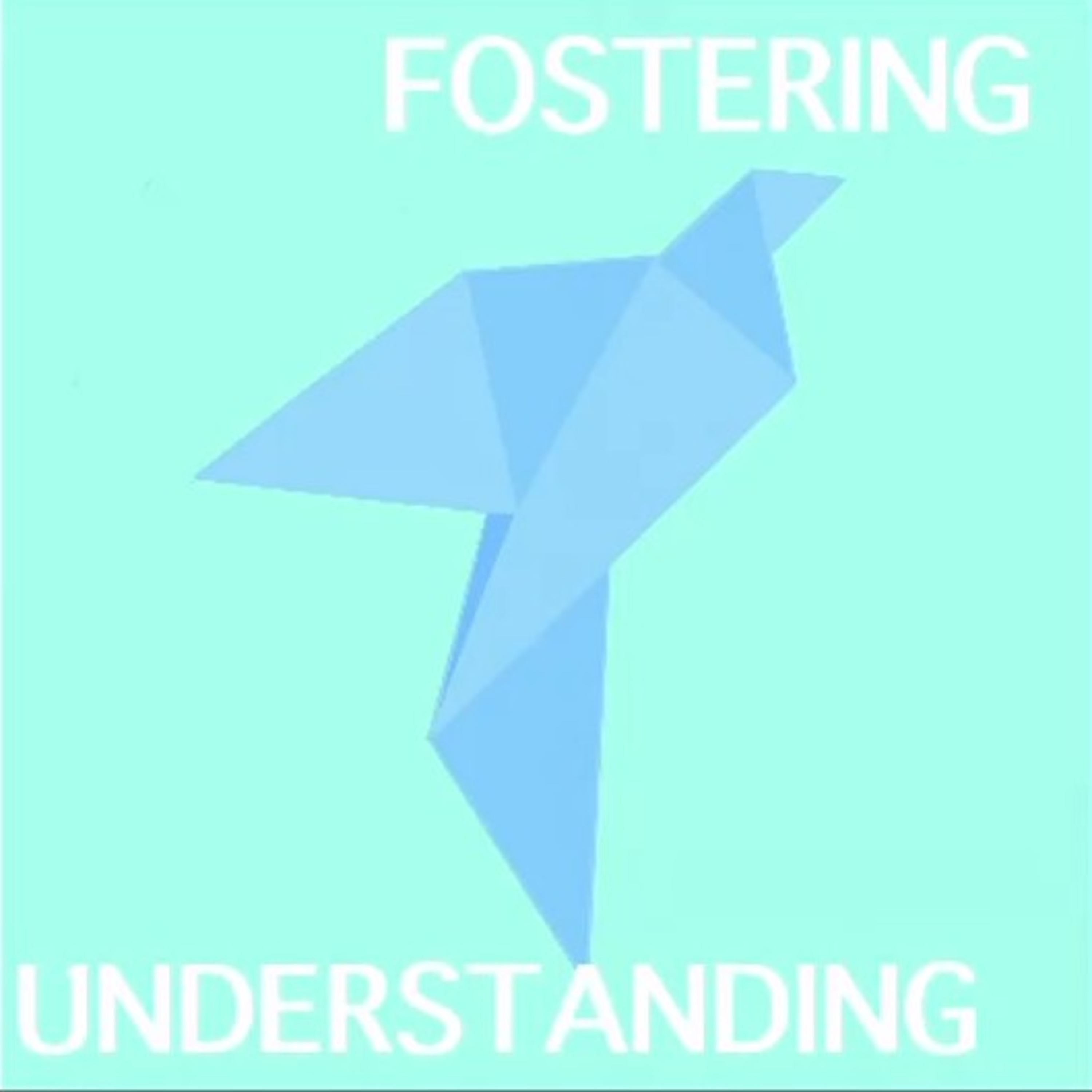 Fostering Understanding