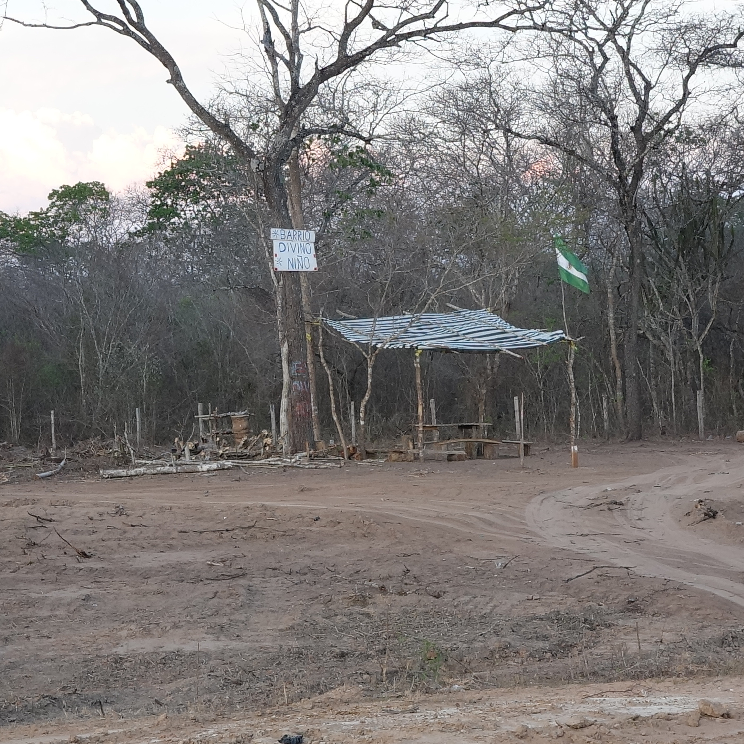 En el bosque que queda REVISTA NÓMADAS Podcast