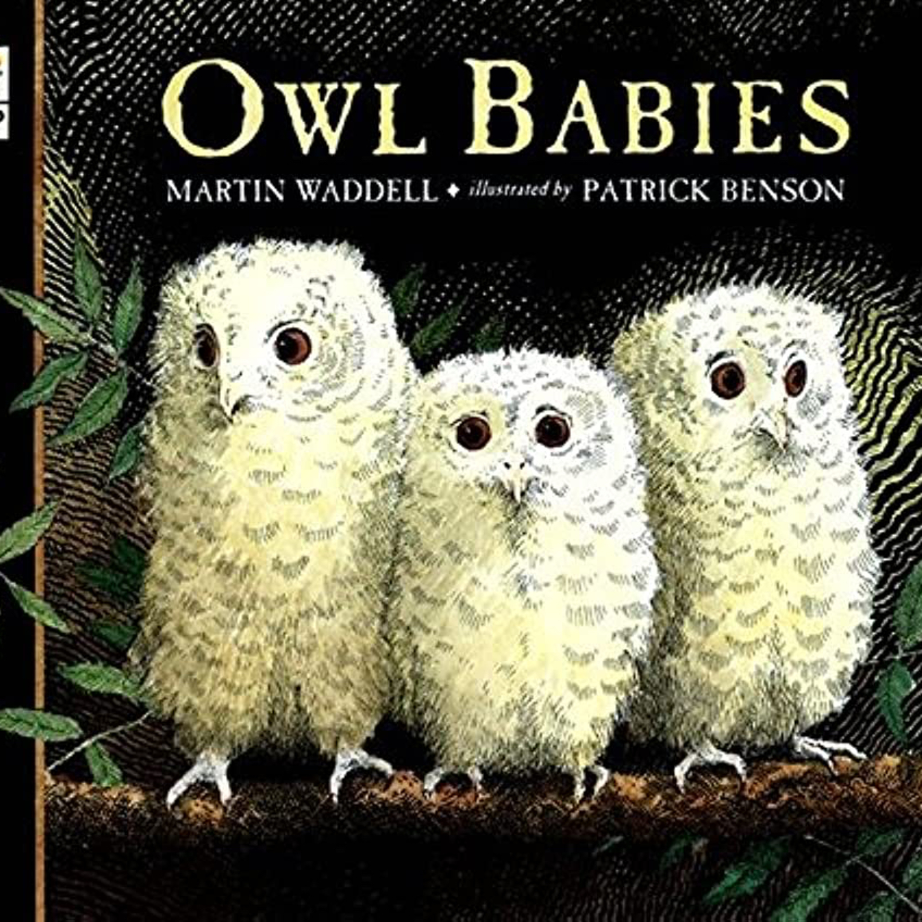 EP45 Owl Babies-小貓頭鷹 episode artwork