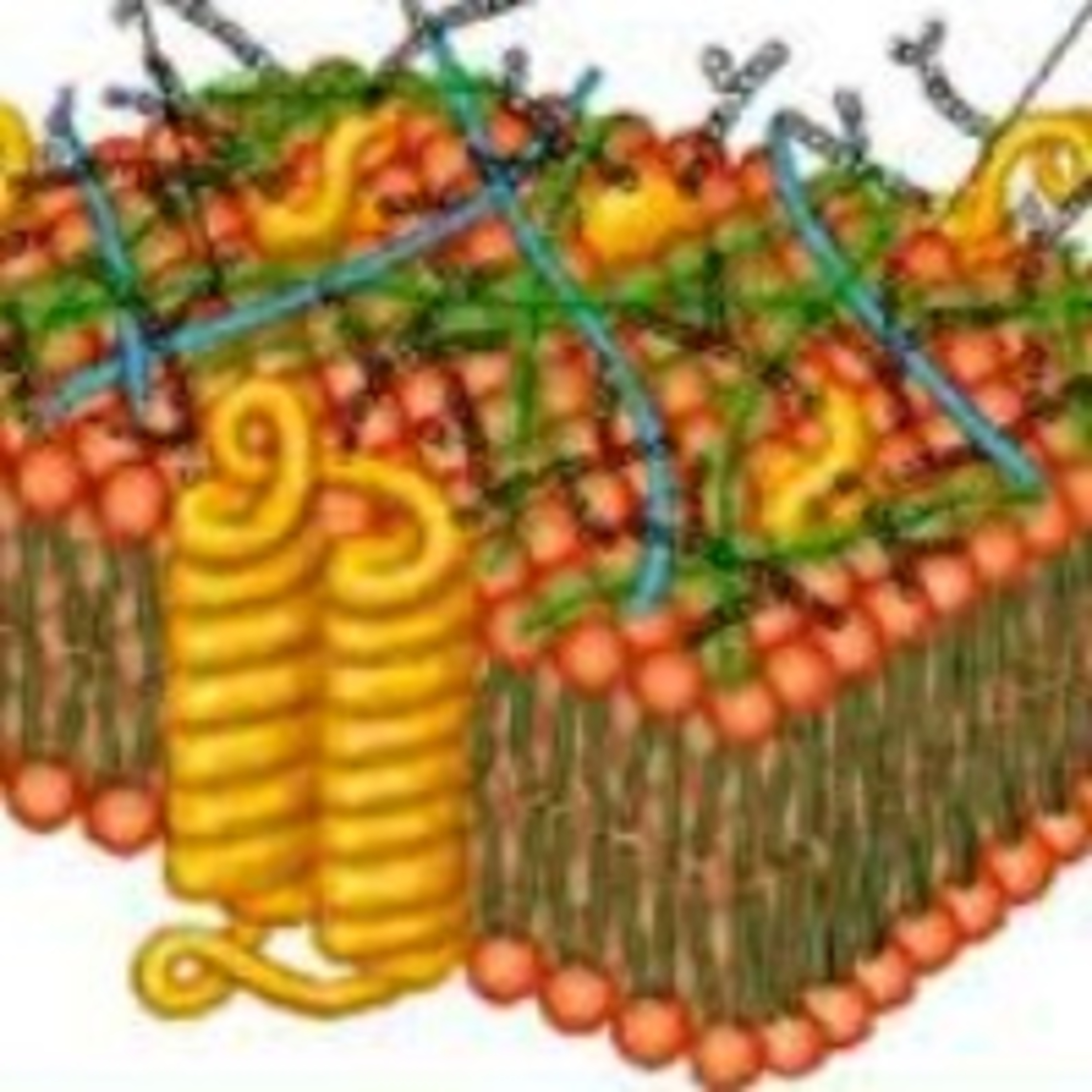 Composición de lípidos plasmáticos y lipoproteínas. episode artwork