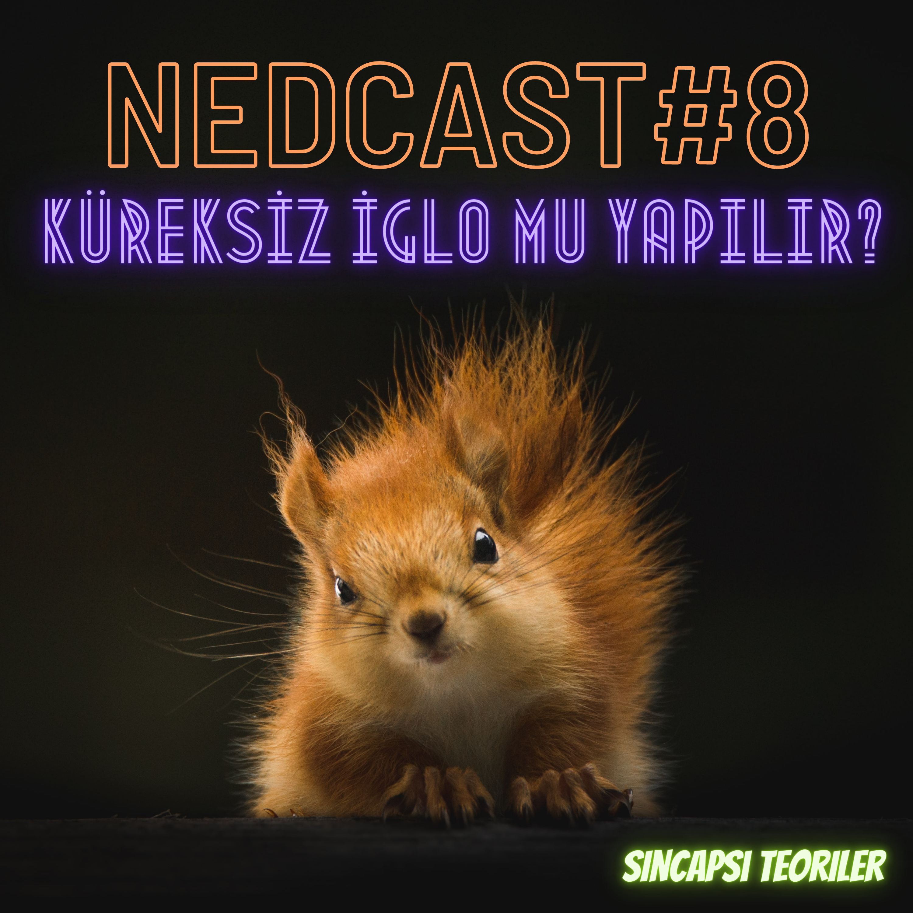 Sincapsı Teoriler