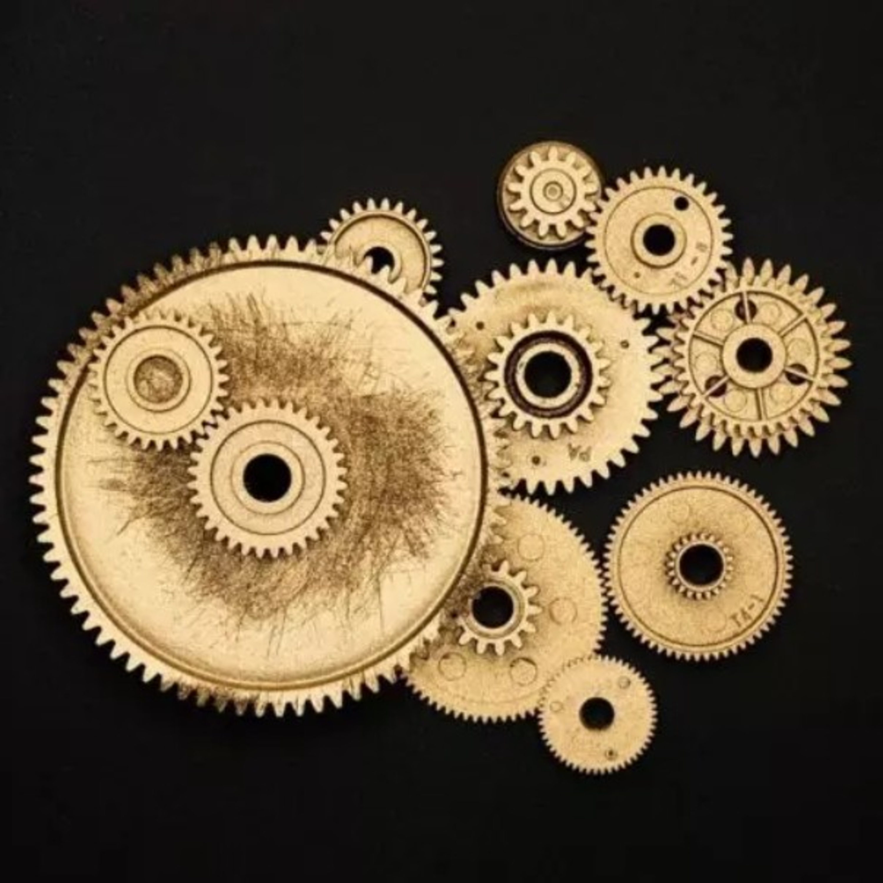 BIRNFELT CAST