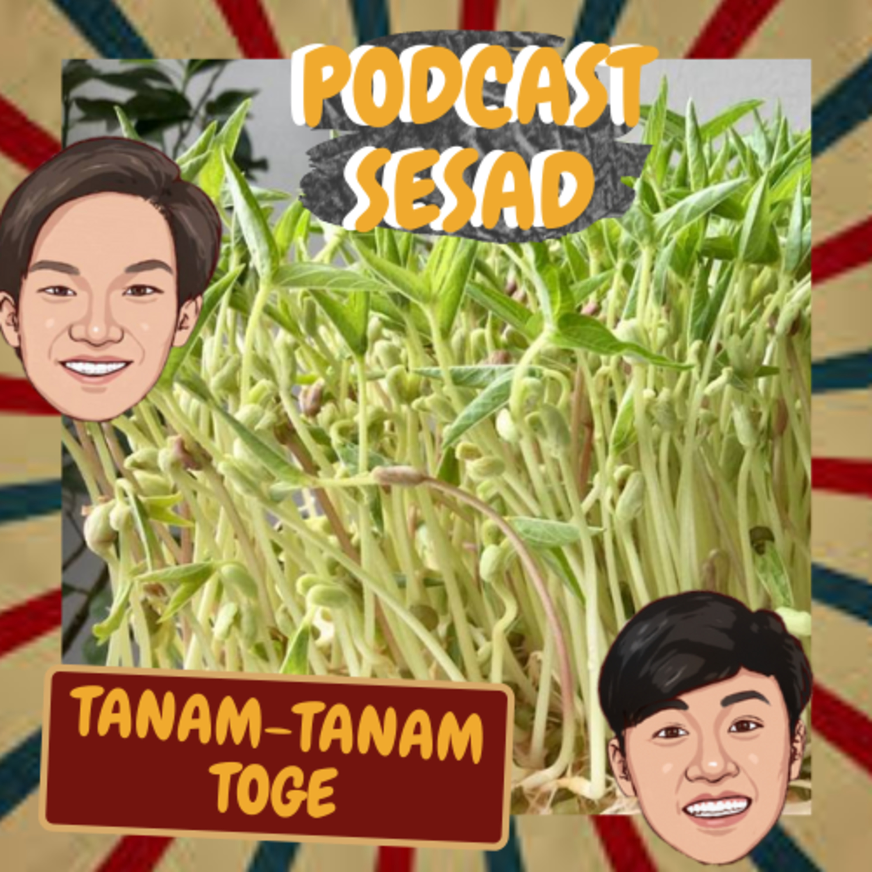 PODCAST SESAD