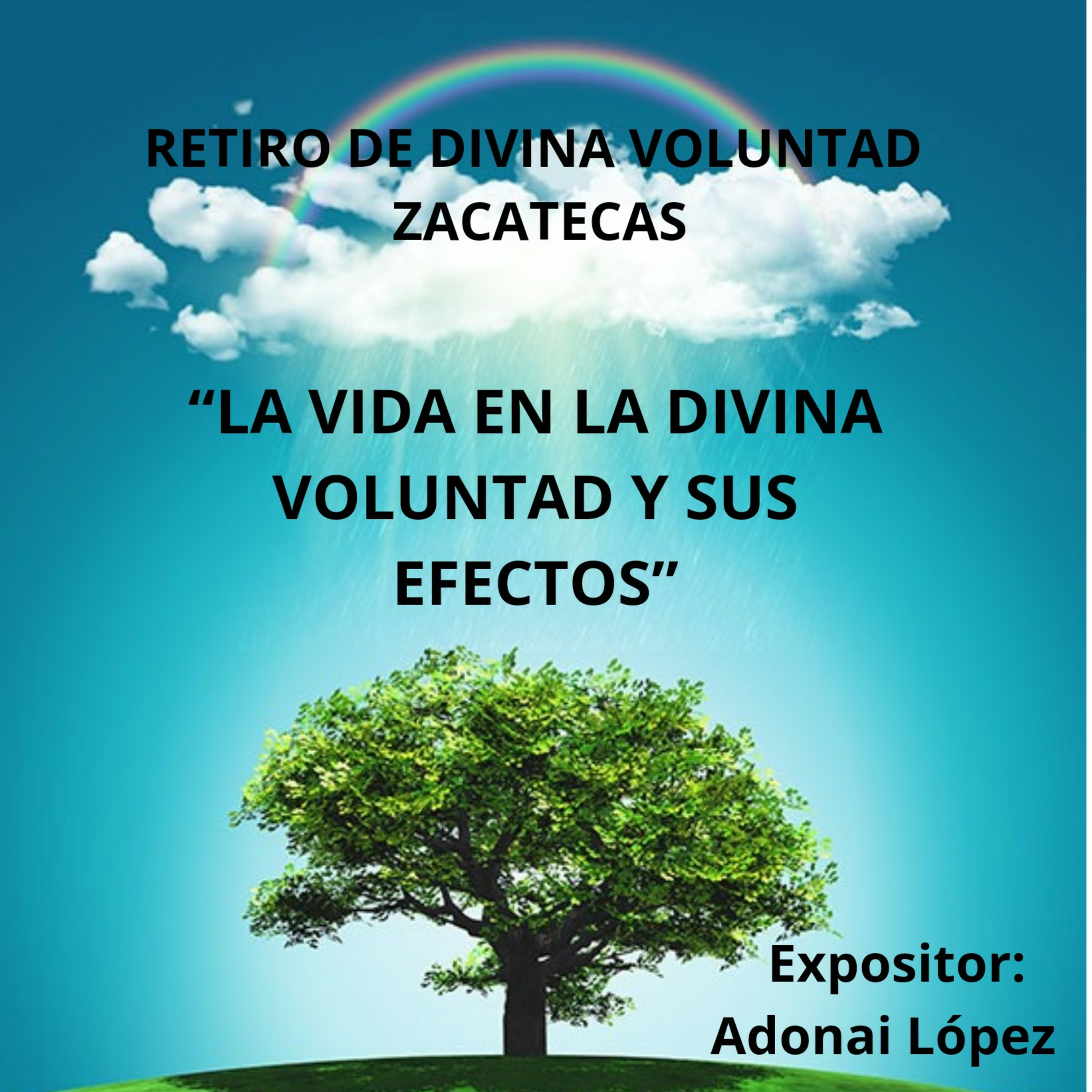 Portada de Divina Voluntad. Siempre Fiat.