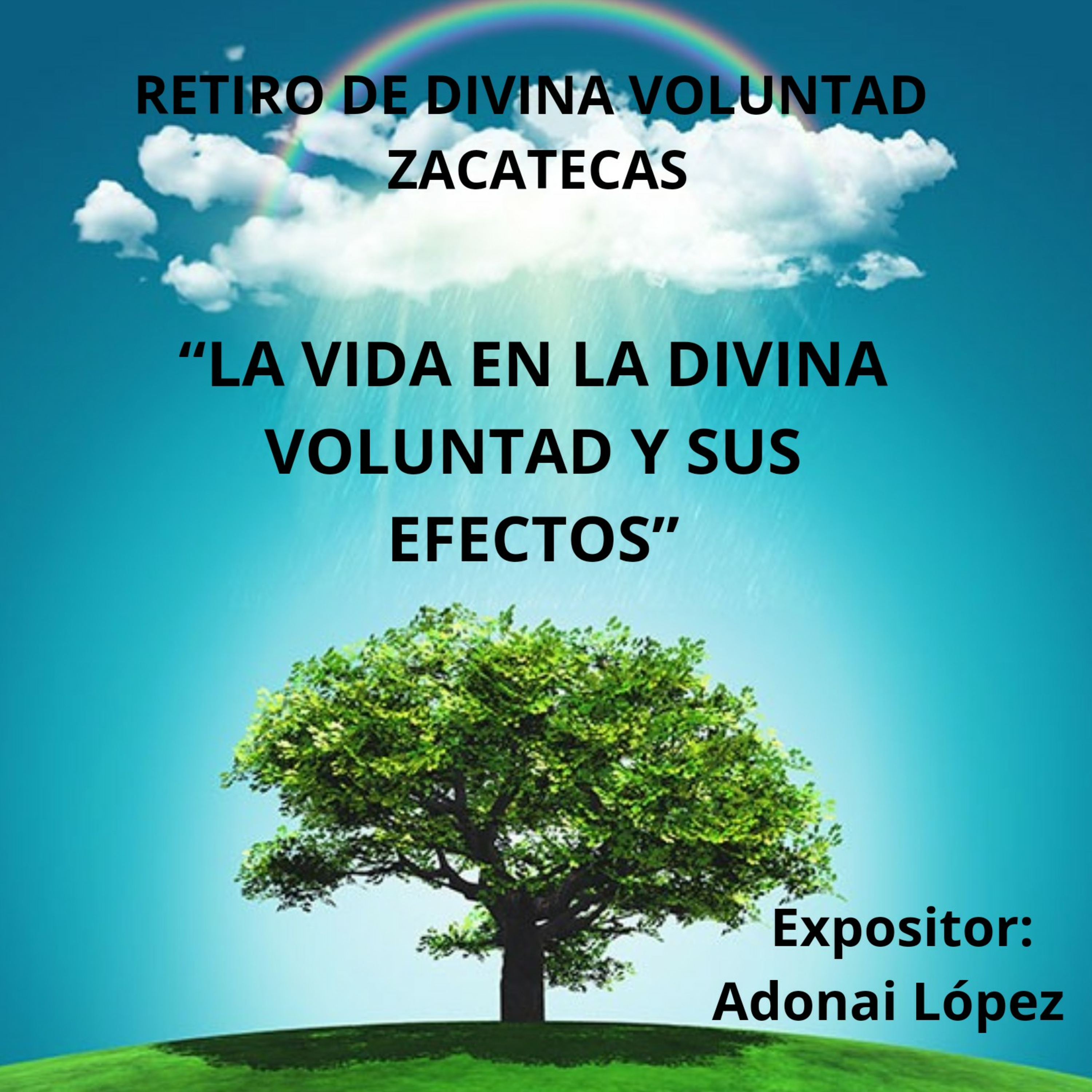 Portada de Divina Voluntad. Siempre Fiat.