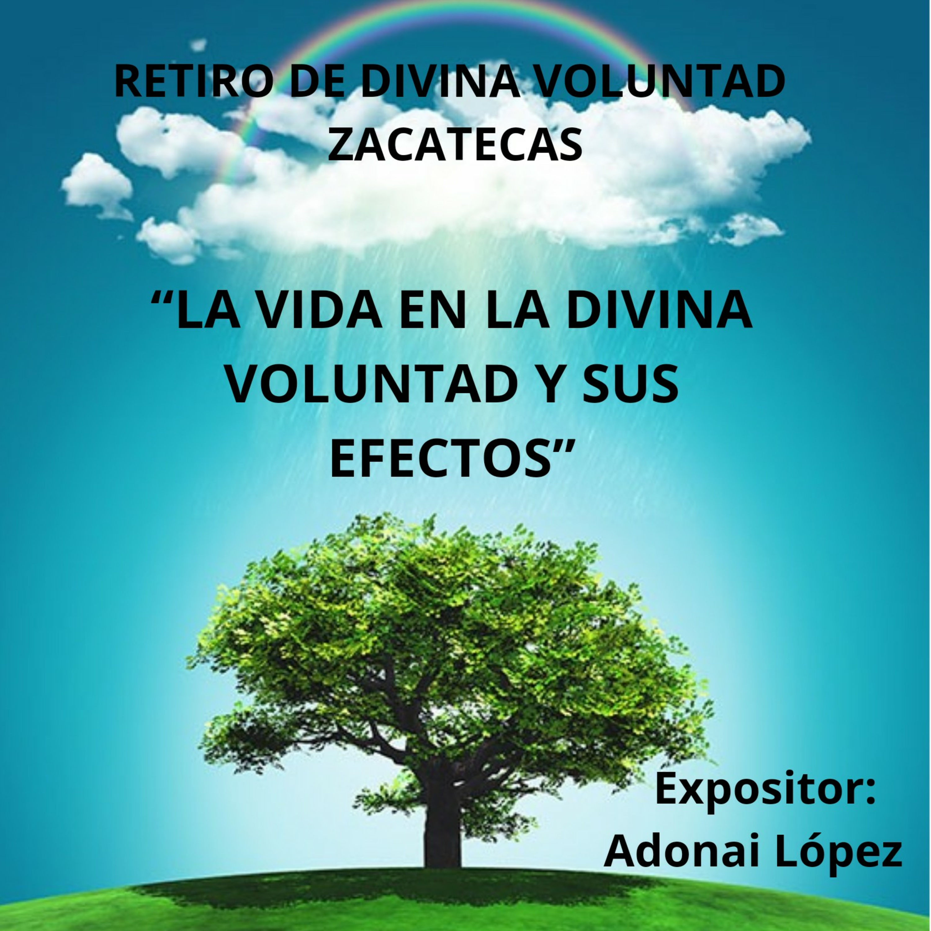 Portada de Divina Voluntad. Siempre Fiat.