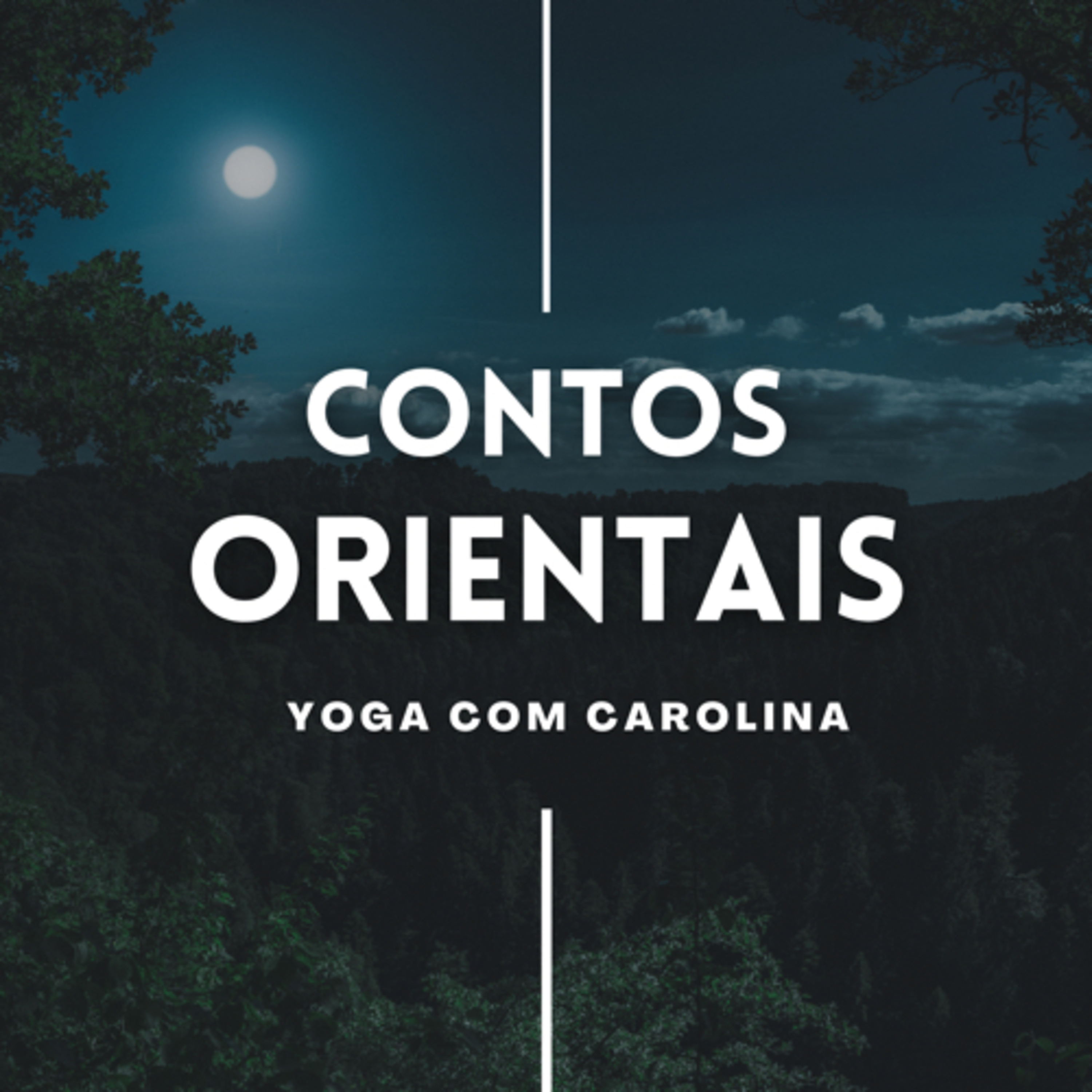 Conto Indiano - O sábio ladrão. episode artwork