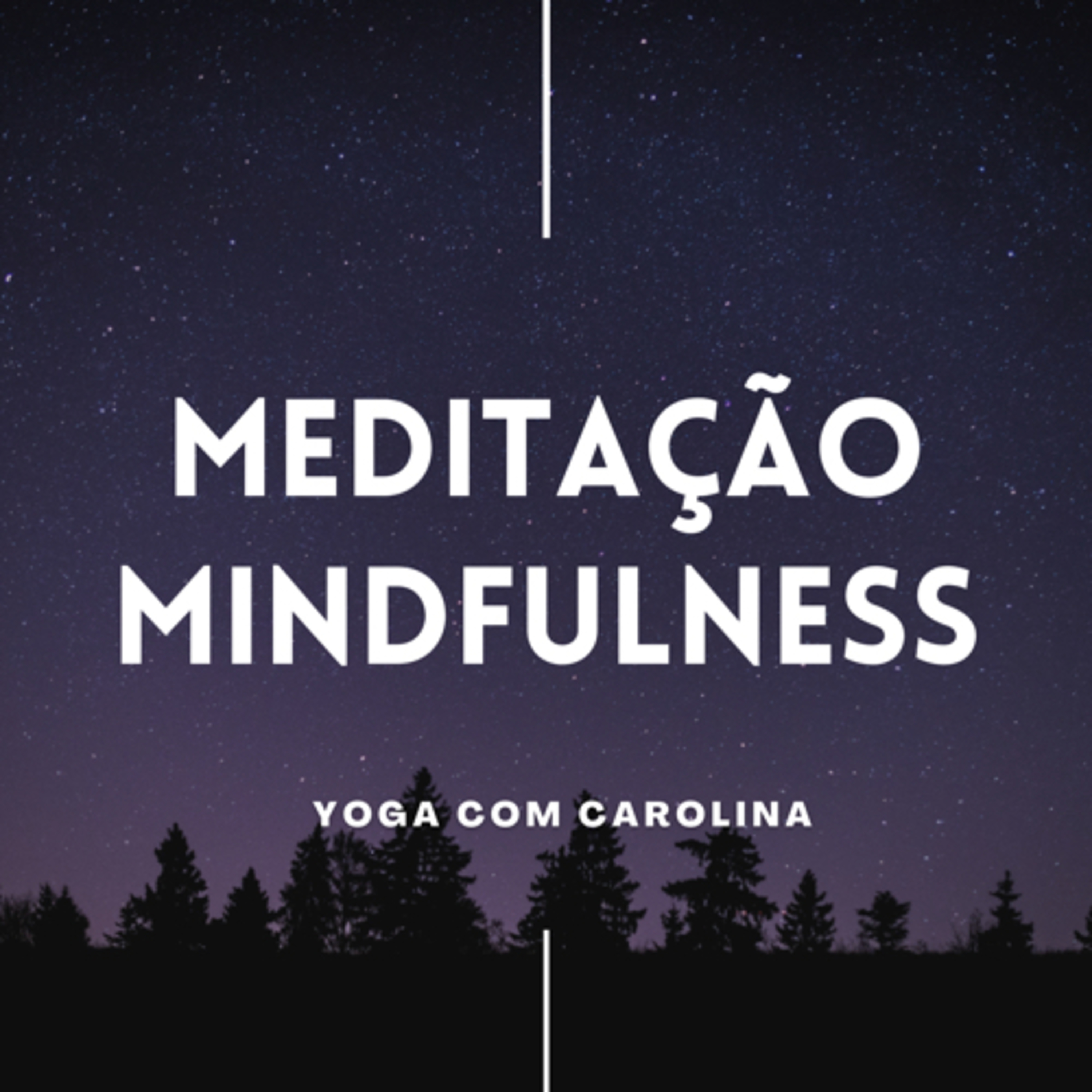 Meditação Mindfulness #2 - Âncora Auditiva  episode artwork