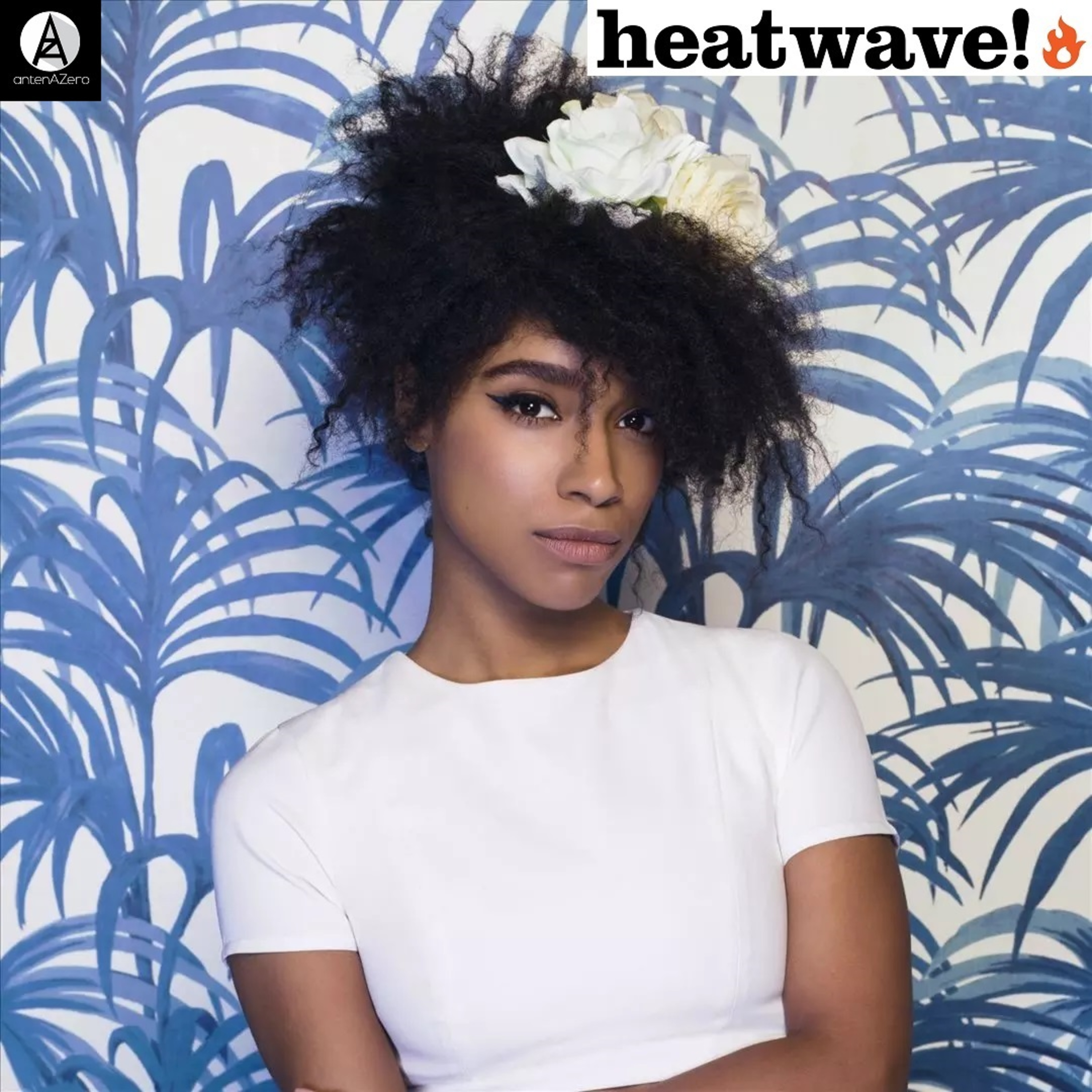 HEATWAVE!