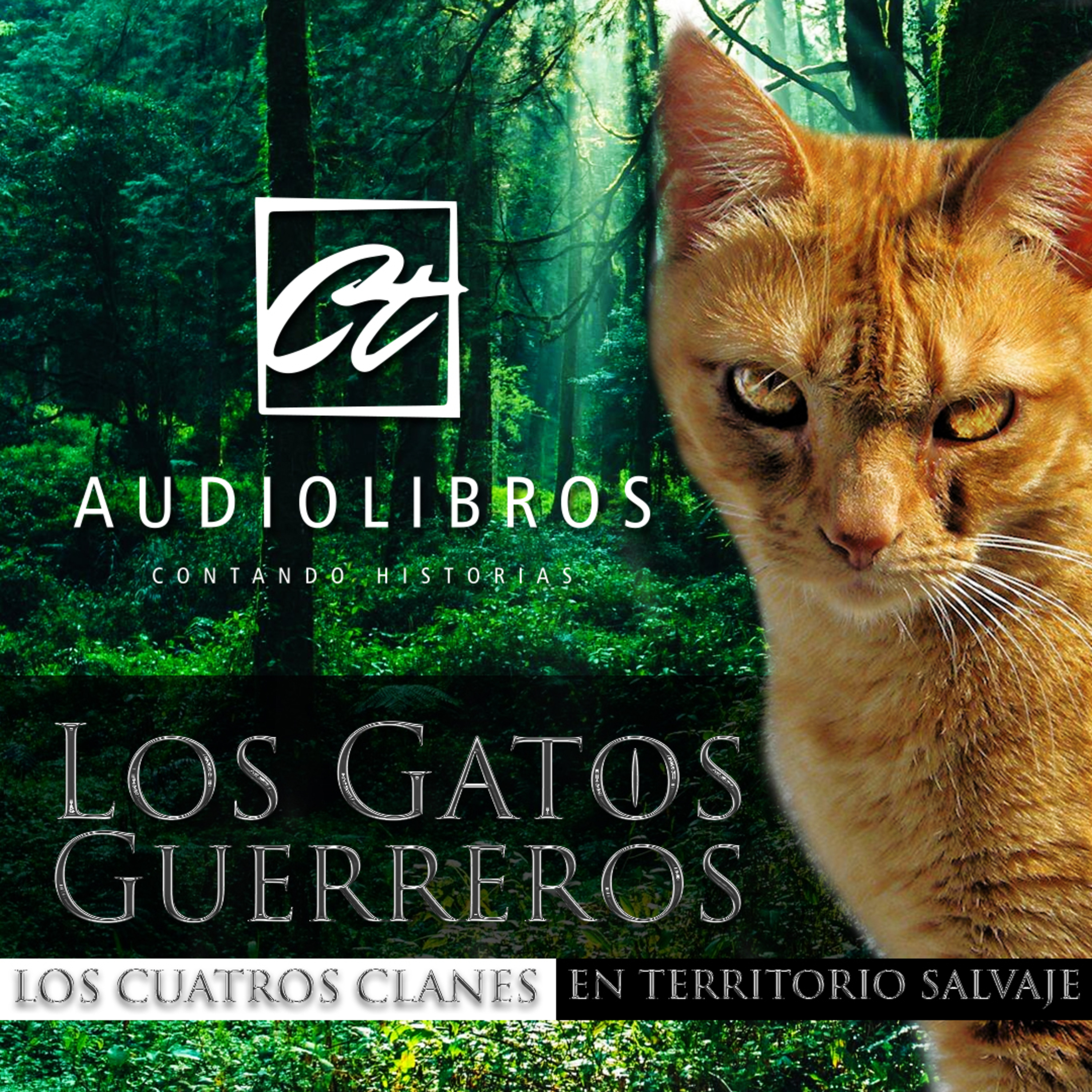 Ct Audiolibros