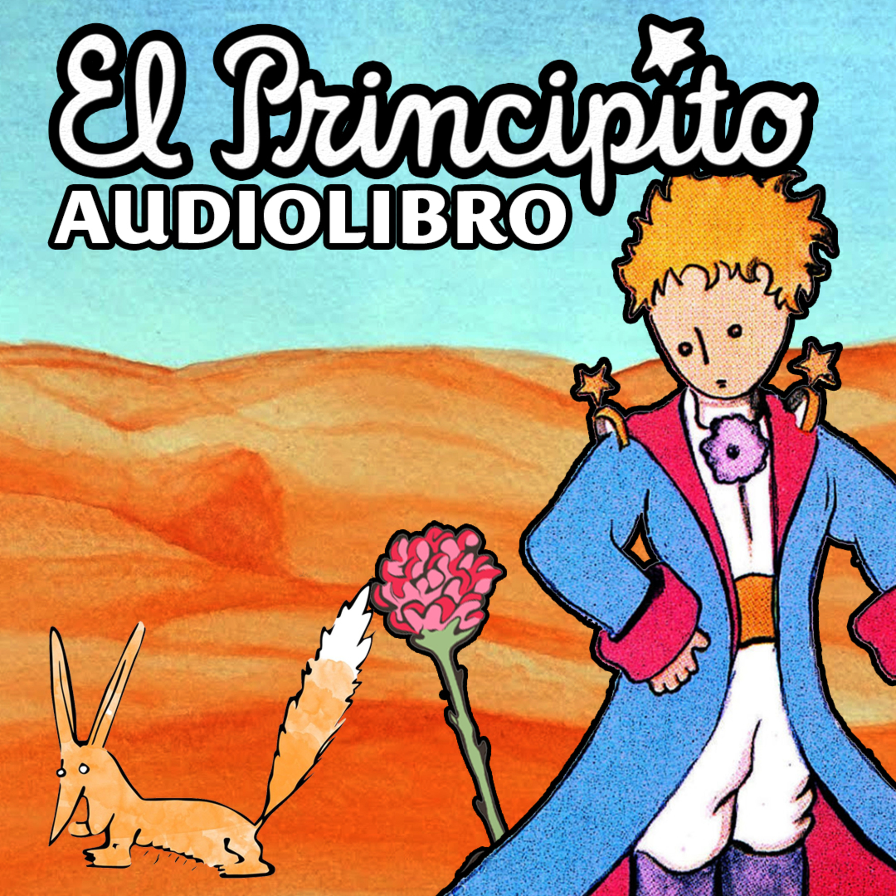 Ct Audiolibros