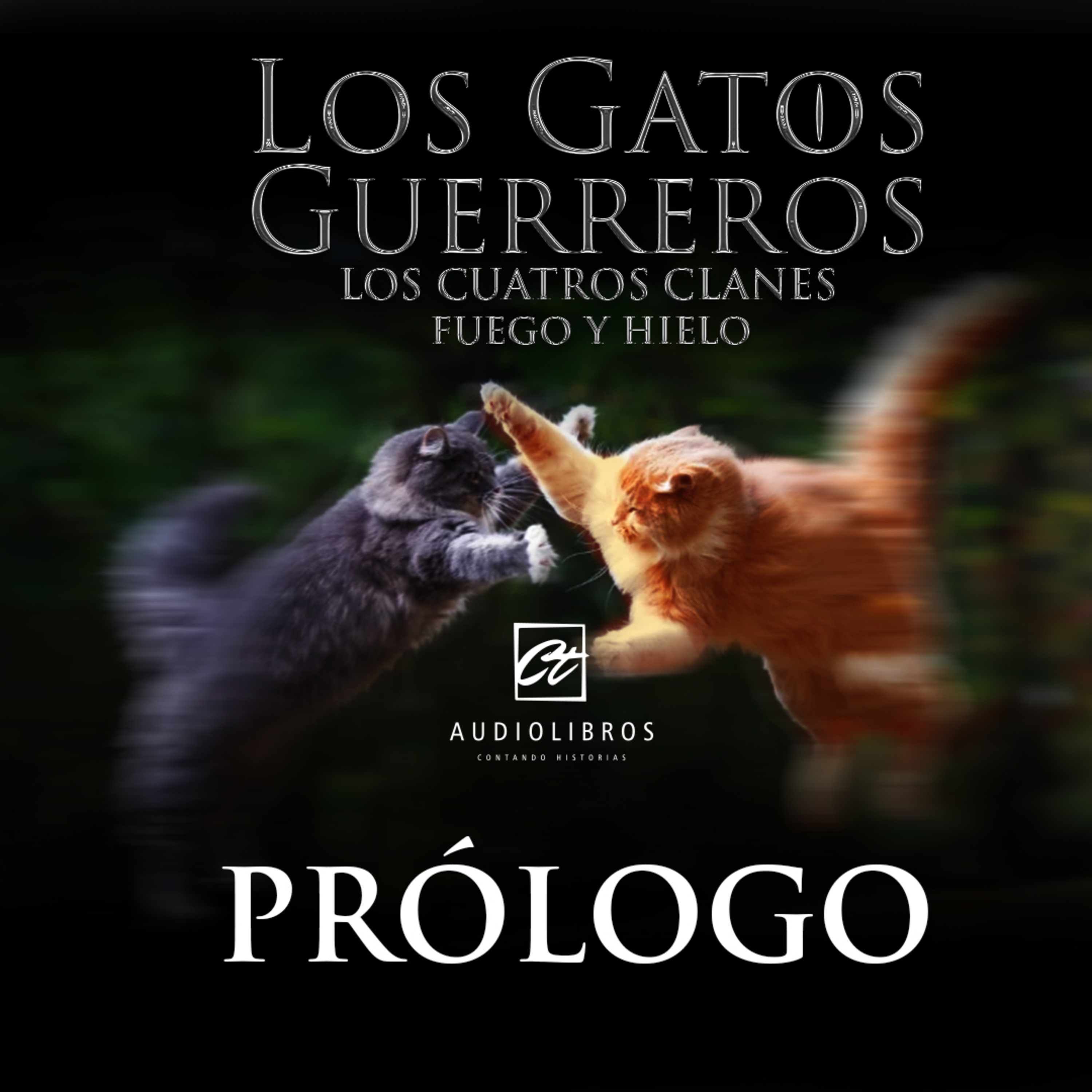 Ct Audiolibros