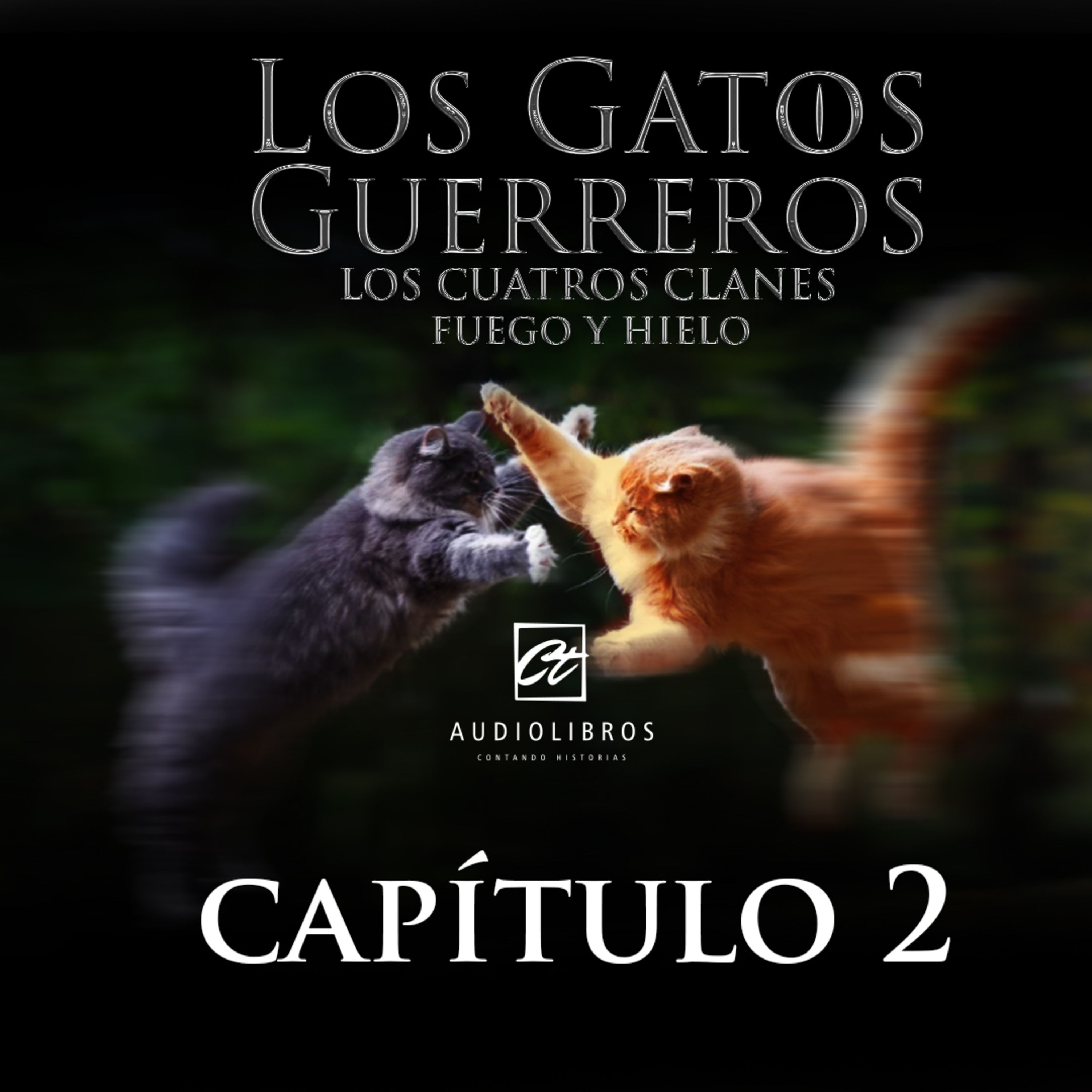 Ct Audiolibros
