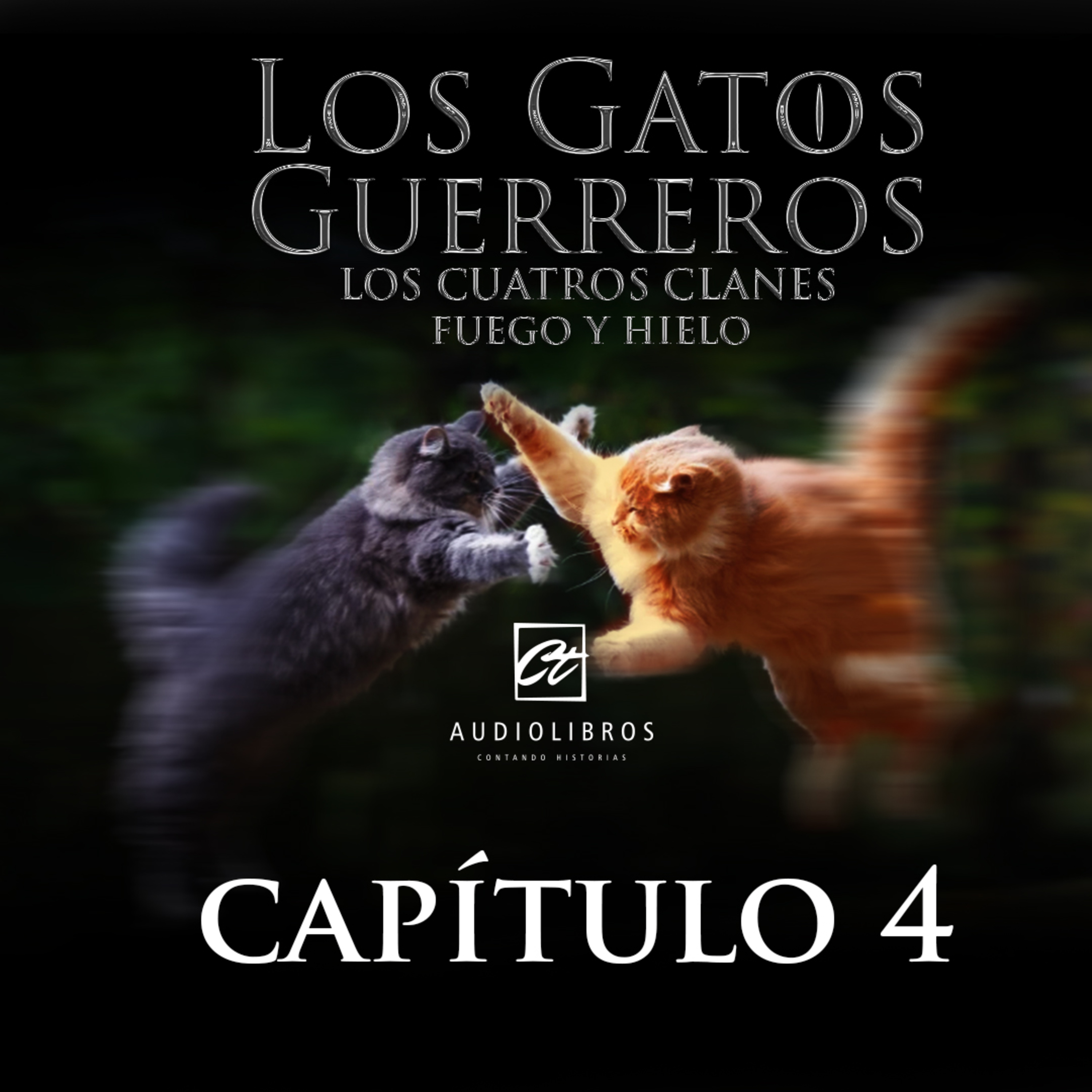 Ct Audiolibros