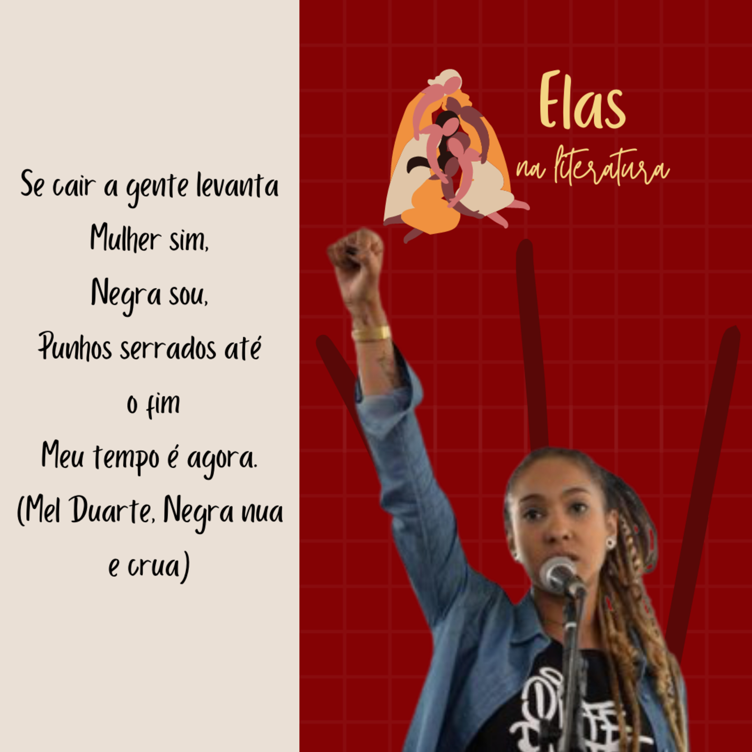 ELAS na Literatura