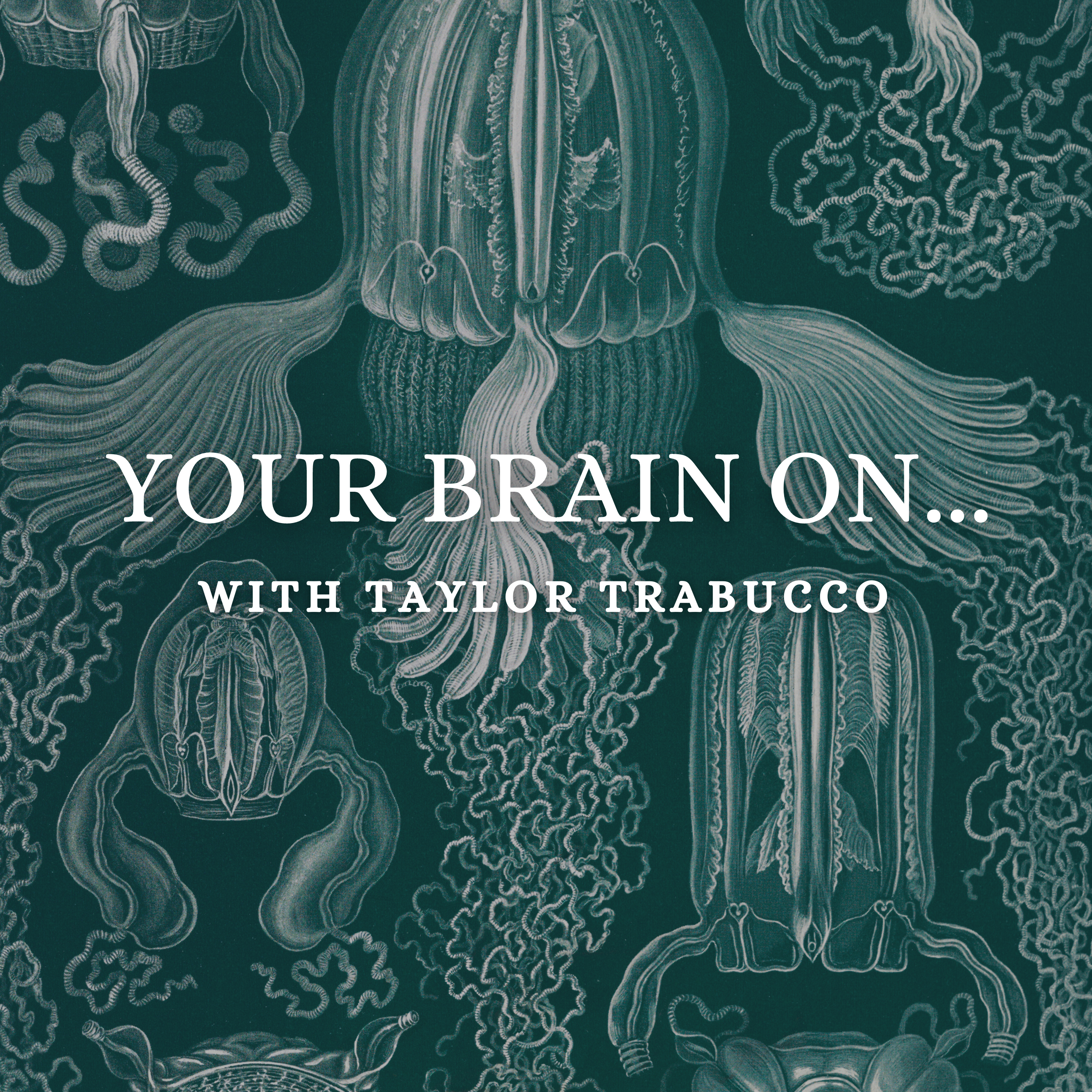 Your Brain On Psychedelics thumbnail