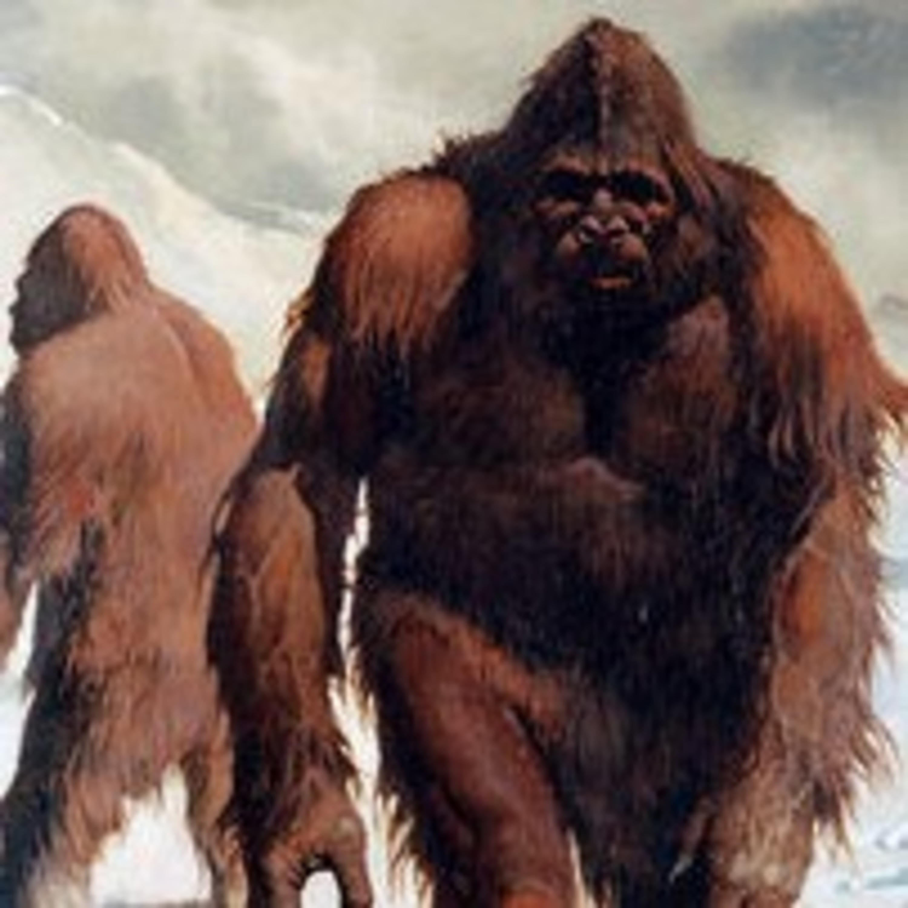 #20 | Yeti episode artwork
