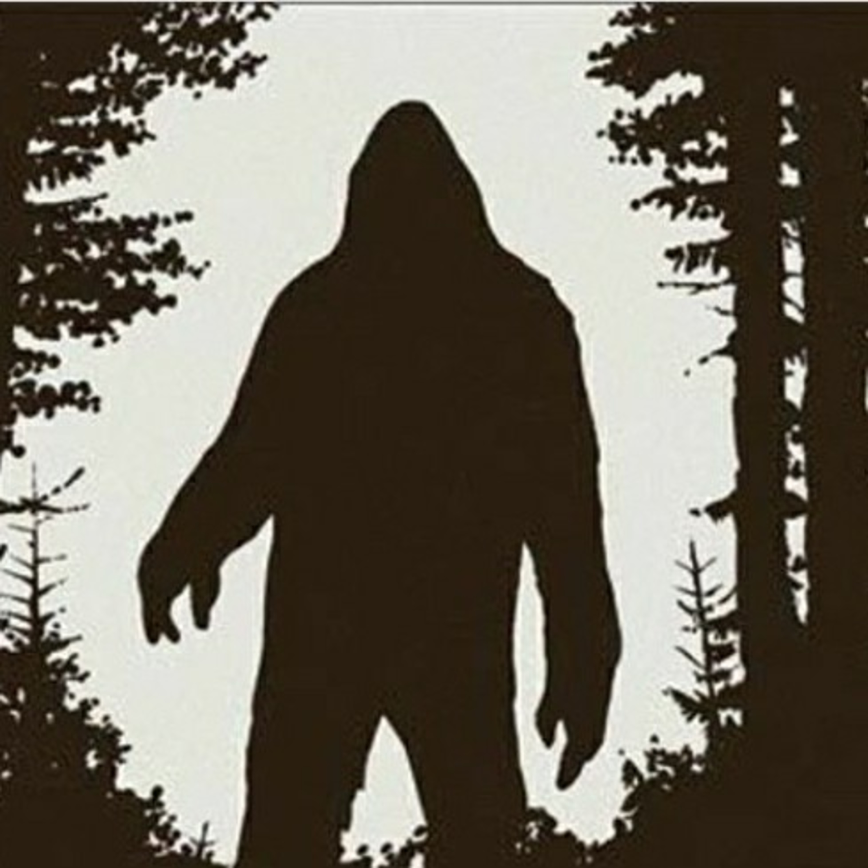 #10 | Bigfoot episode artwork